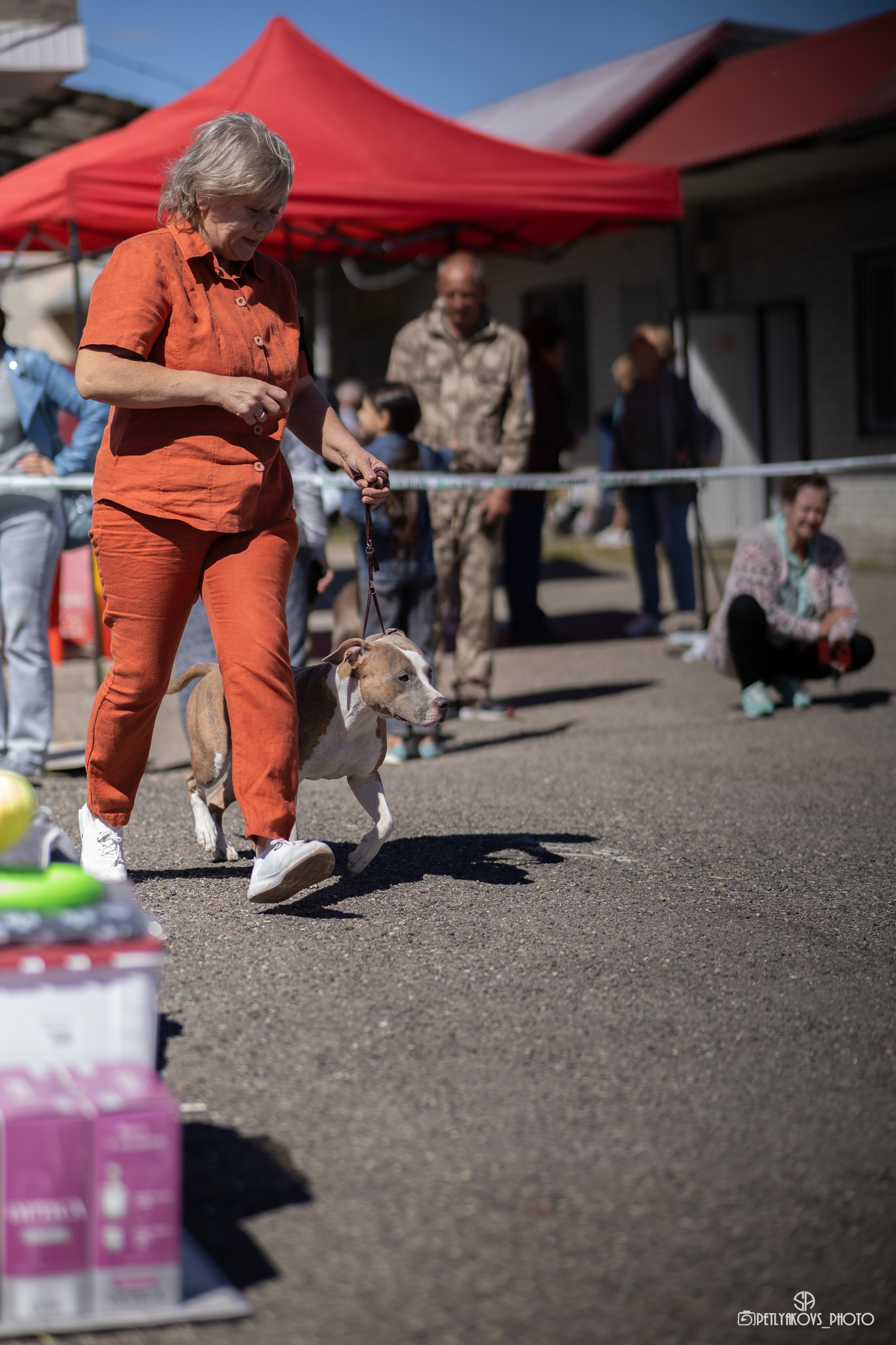 Репортаж с НАЦИОНАЛЬНАЯ ВЫСТАВКА СОБАК РАНГА САС — ЧФ. Фотограф, видеограф Пятигорск, Ставрополь, Ессентуки, Petlyakovs_photo
