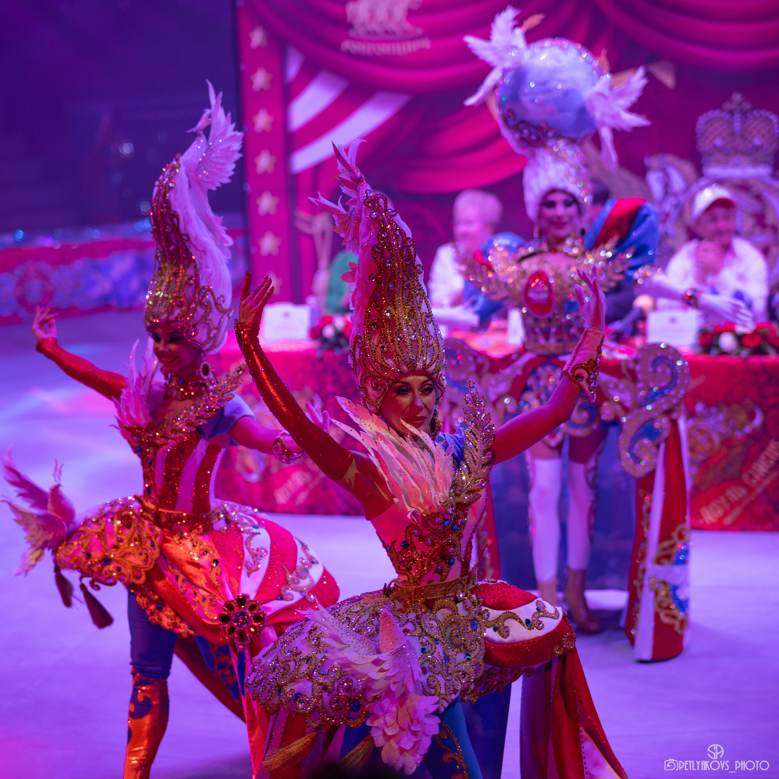 Пресс-конференция циркового шоу Гии Эрадзе «5 континентов». Фотограф, видеограф Пятигорск, Ставрополь, Ессентуки, Petlyakovs_photo