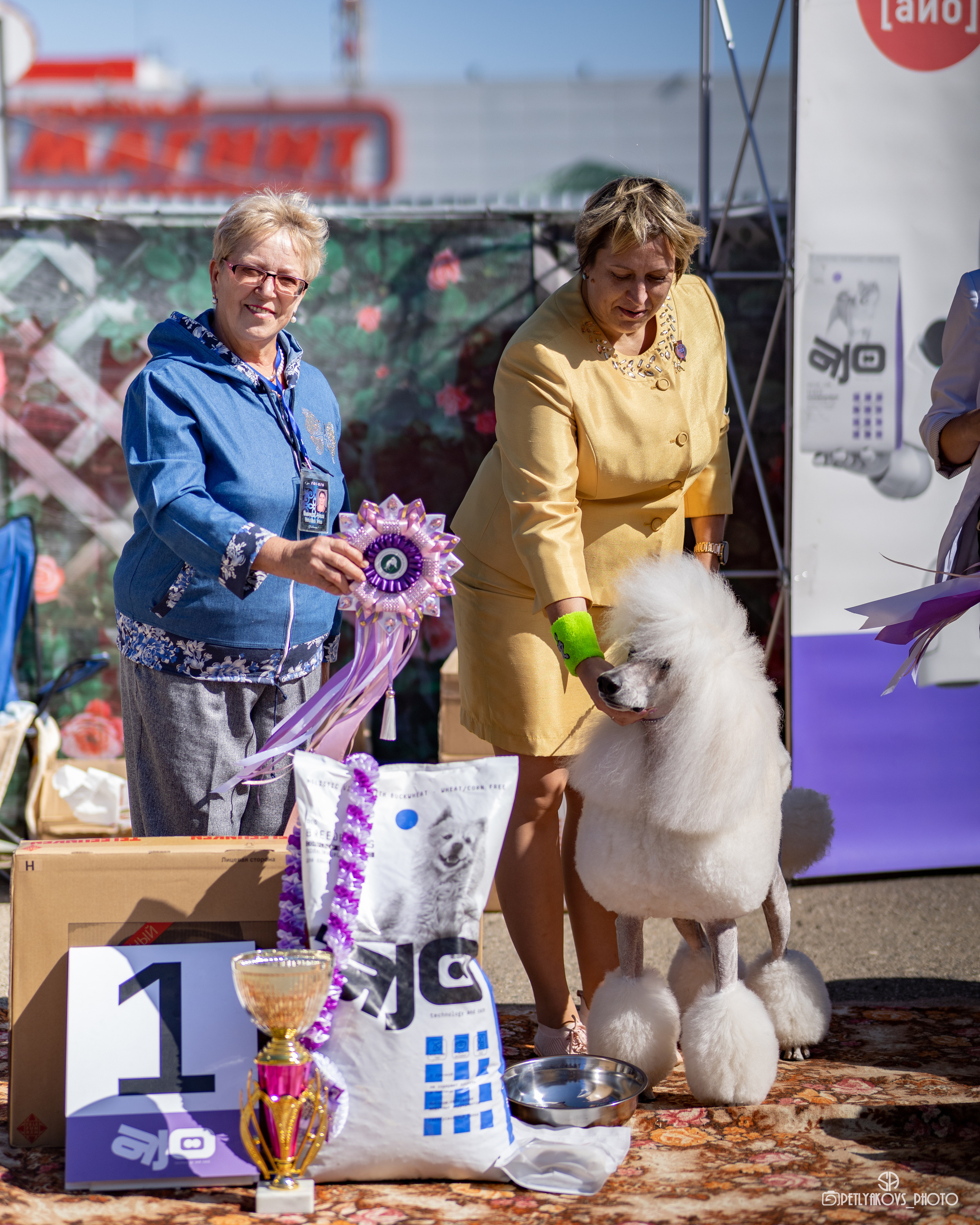 Репортаж с НАЦИОНАЛЬНАЯ ВЫСТАВКА СОБАК РАНГА САС — ЧФ. Фотограф, видеограф Пятигорск, Ставрополь, Ессентуки, Petlyakovs_photo
