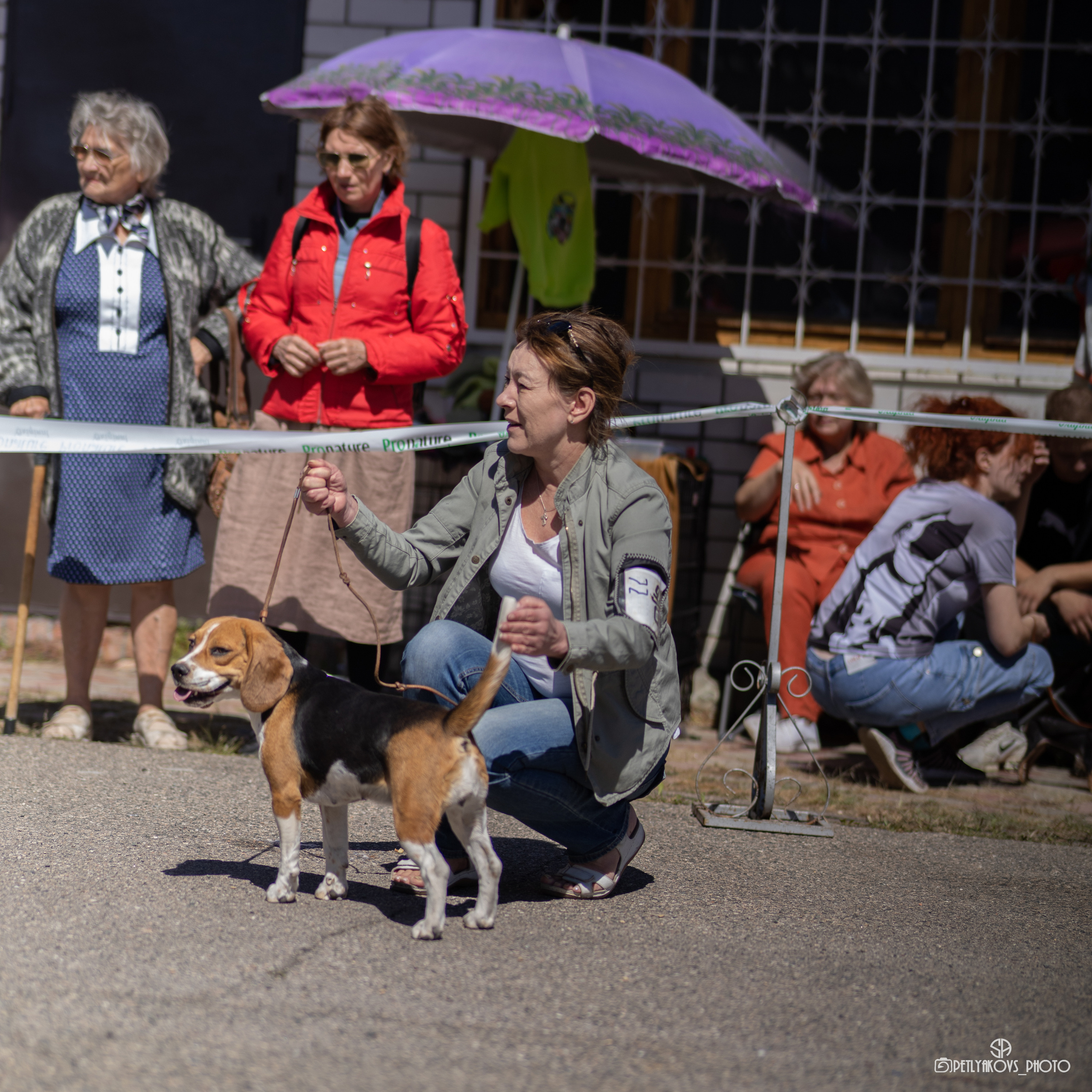 Репортаж с НАЦИОНАЛЬНАЯ ВЫСТАВКА СОБАК РАНГА САС — ЧФ. Фотограф, видеограф Пятигорск, Ставрополь, Ессентуки, Petlyakovs_photo