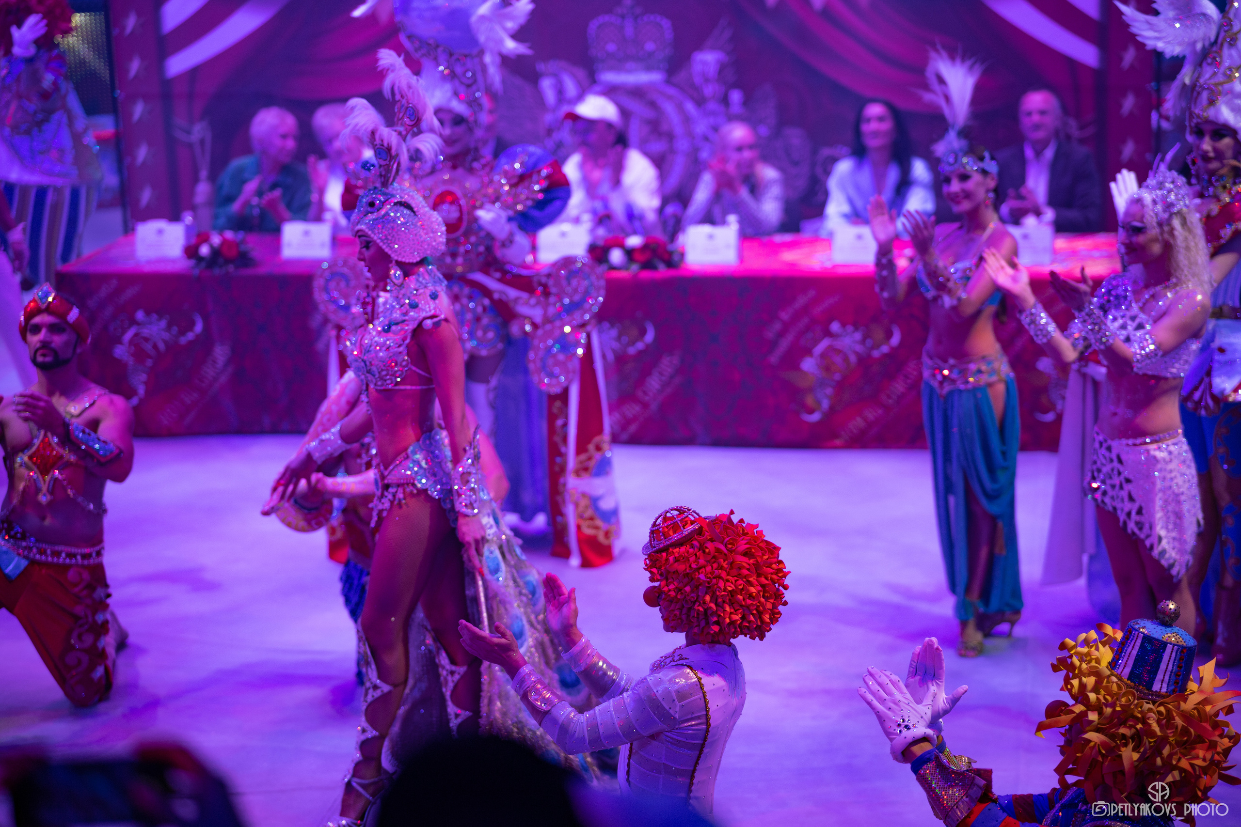 Пресс-конференция циркового шоу Гии Эрадзе «5 континентов». Фотограф, видеограф Пятигорск, Ставрополь, Ессентуки, Petlyakovs_photo