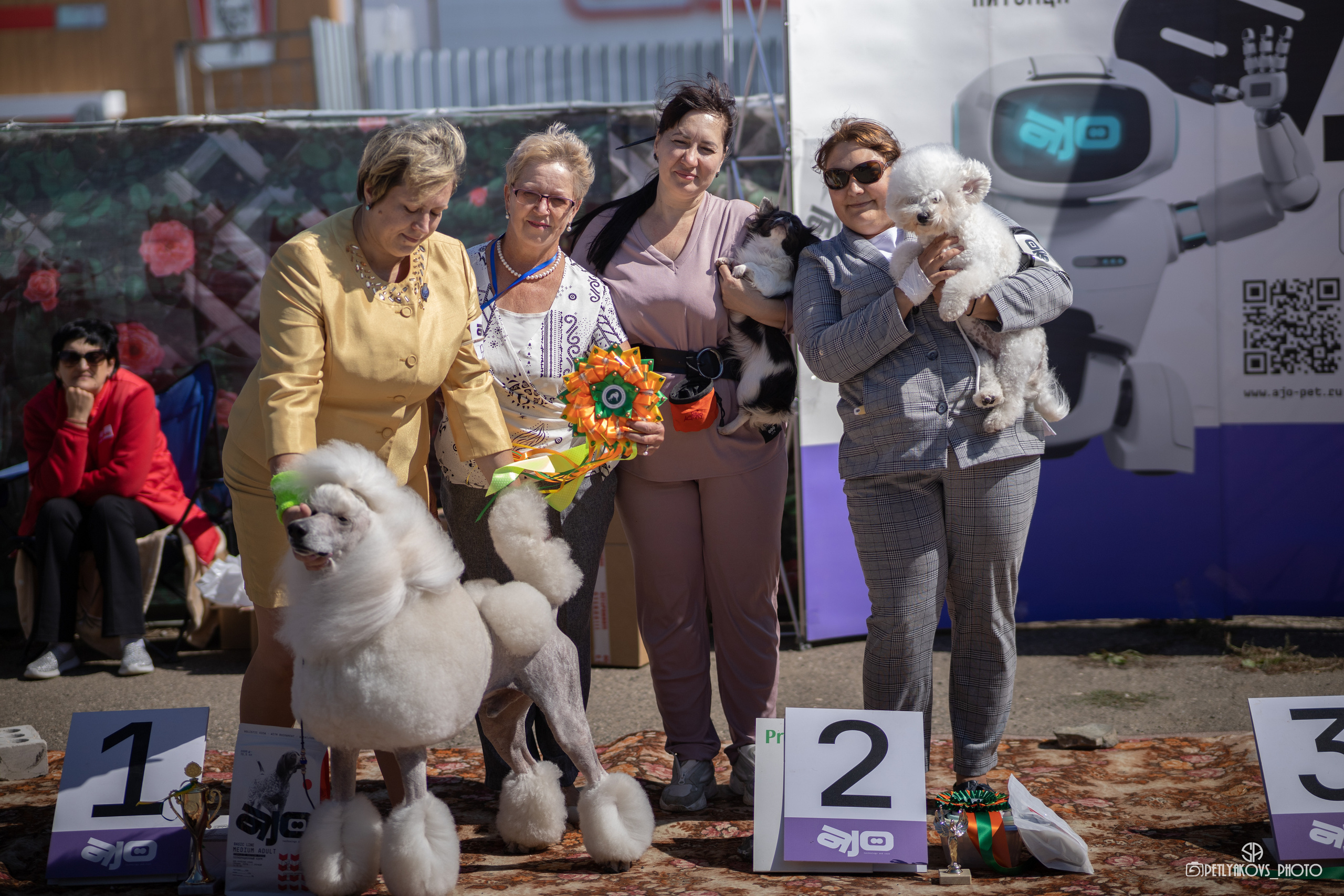 Репортаж с НАЦИОНАЛЬНАЯ ВЫСТАВКА СОБАК РАНГА САС — ЧФ. Фотограф, видеограф Пятигорск, Ставрополь, Ессентуки, Petlyakovs_photo