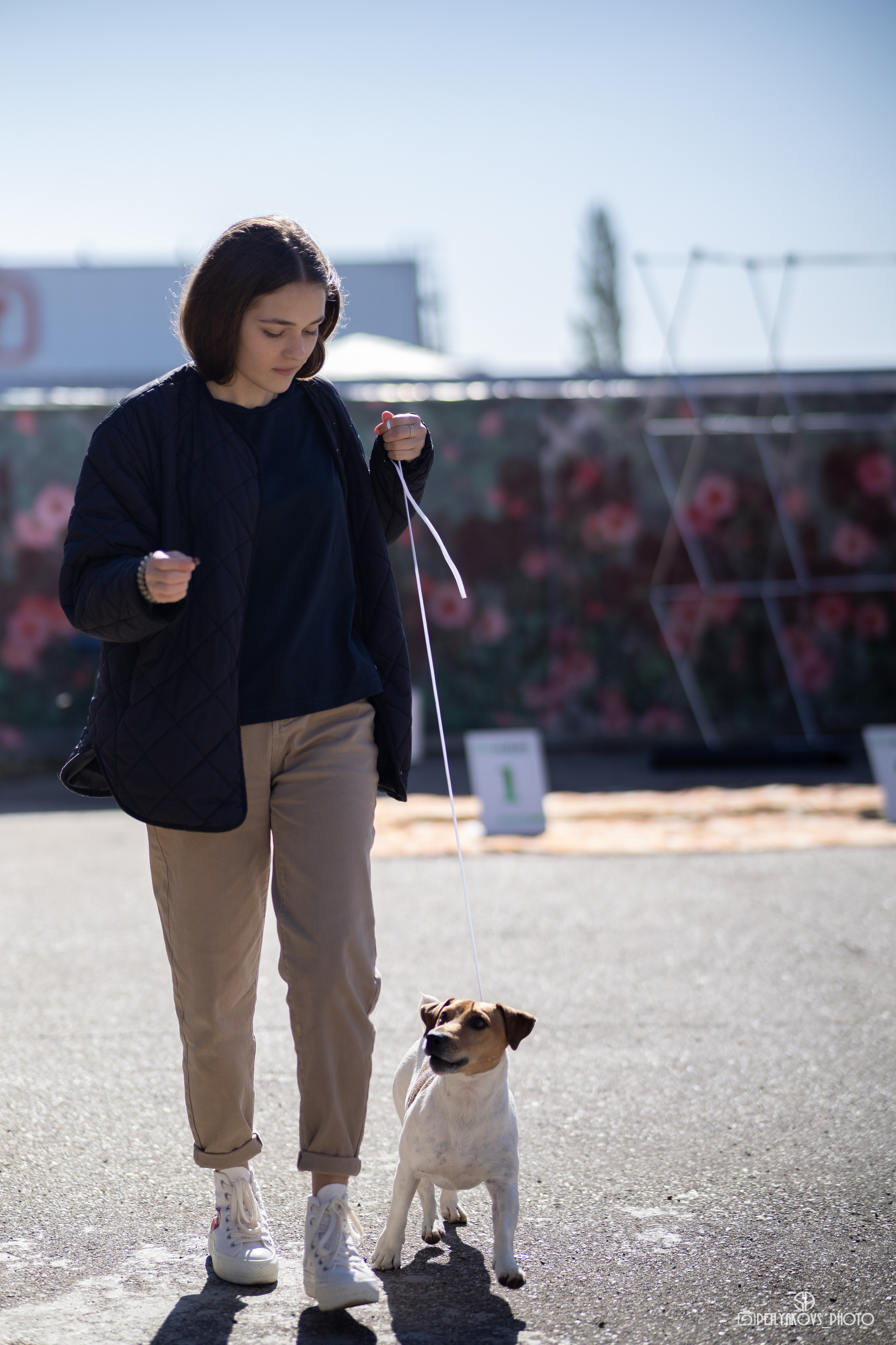 Репортаж с НАЦИОНАЛЬНАЯ ВЫСТАВКА СОБАК РАНГА САС — ЧФ. Фотограф, видеограф Пятигорск, Ставрополь, Ессентуки, Petlyakovs_photo