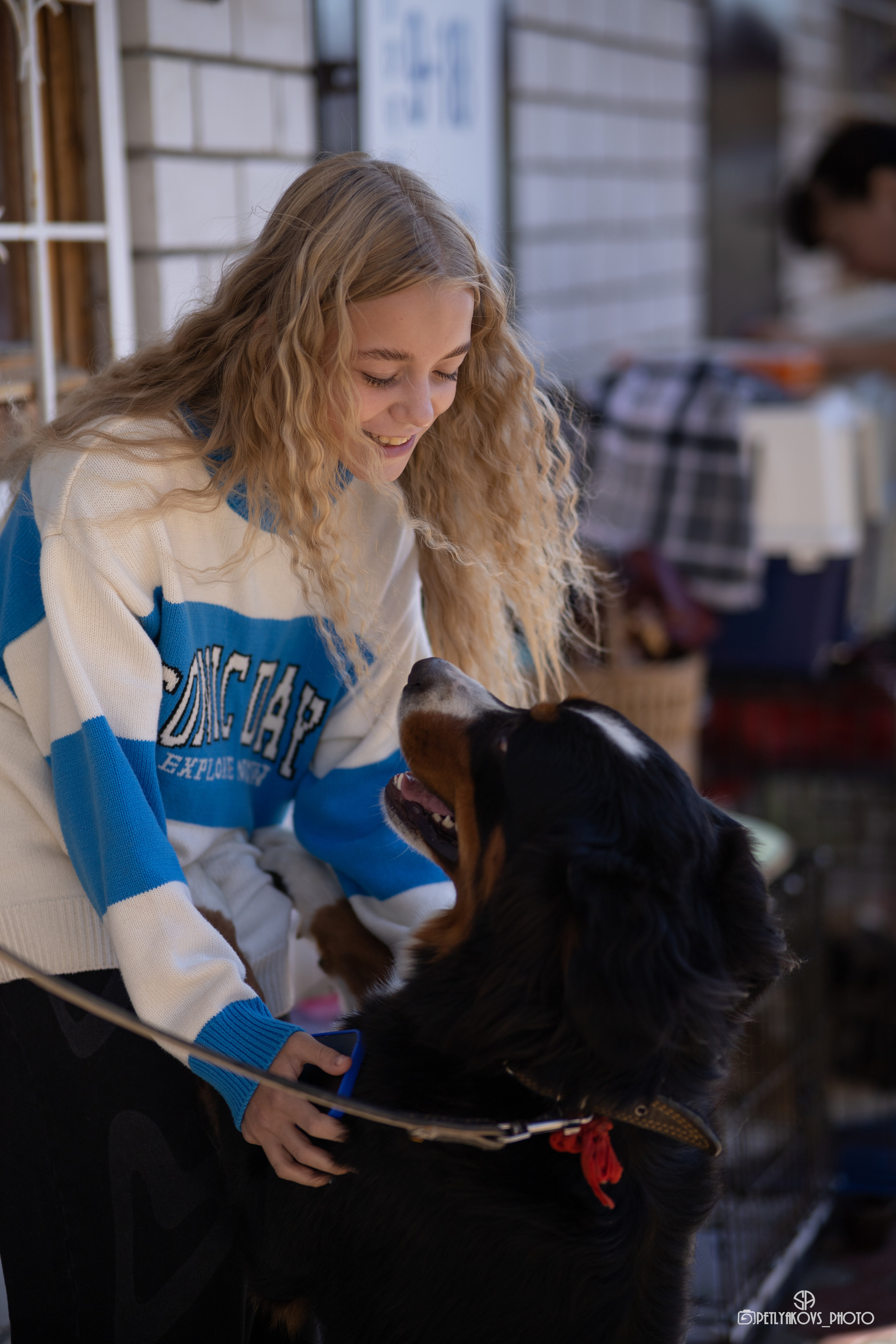 Репортаж с НАЦИОНАЛЬНАЯ ВЫСТАВКА СОБАК РАНГА САС — ЧФ. Фотограф, видеограф Пятигорск, Ставрополь, Ессентуки, Petlyakovs_photo