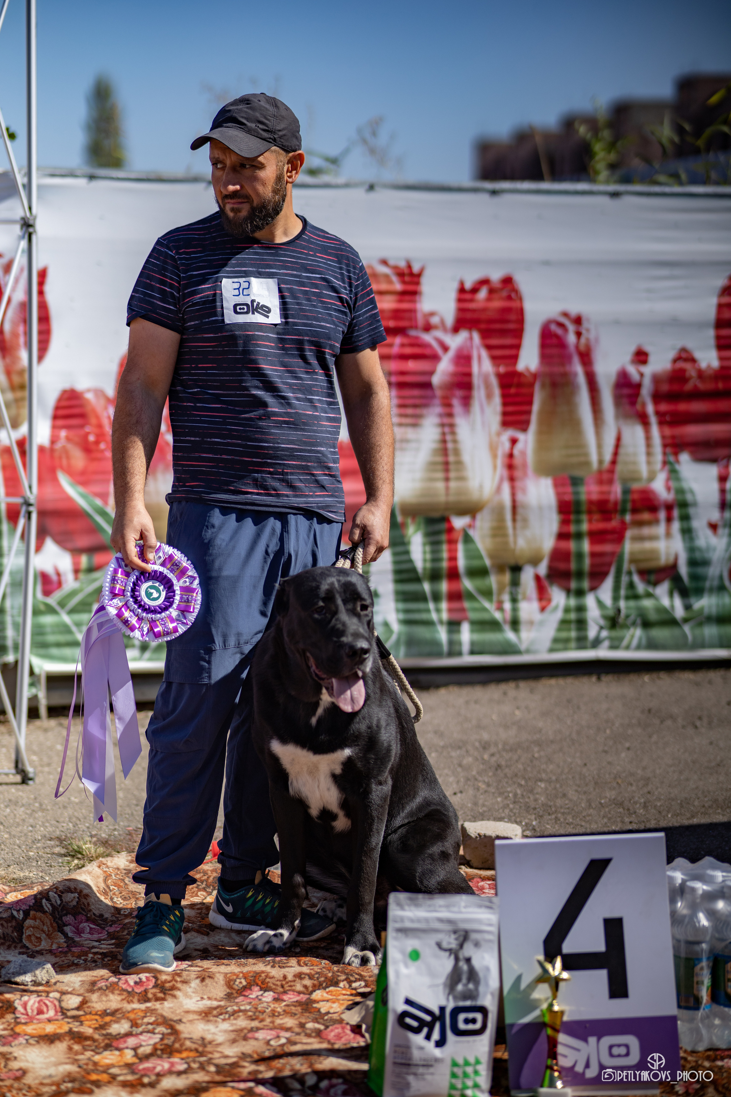 Репортаж с НАЦИОНАЛЬНАЯ ВЫСТАВКА СОБАК РАНГА САС — ЧФ. Фотограф, видеограф Пятигорск, Ставрополь, Ессентуки, Petlyakovs_photo