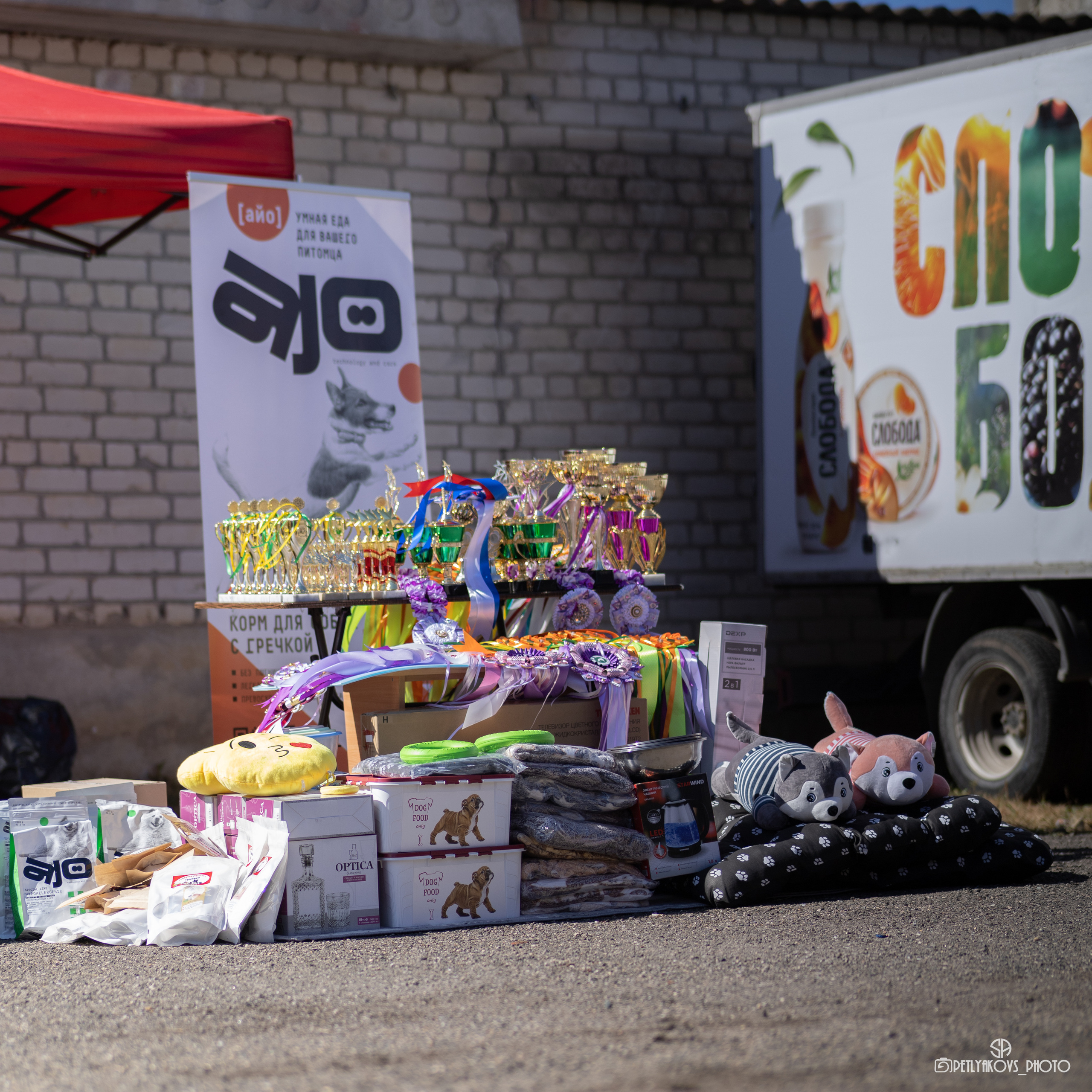 Репортаж с НАЦИОНАЛЬНАЯ ВЫСТАВКА СОБАК РАНГА САС — ЧФ. Фотограф, видеограф Пятигорск, Ставрополь, Ессентуки, Petlyakovs_photo