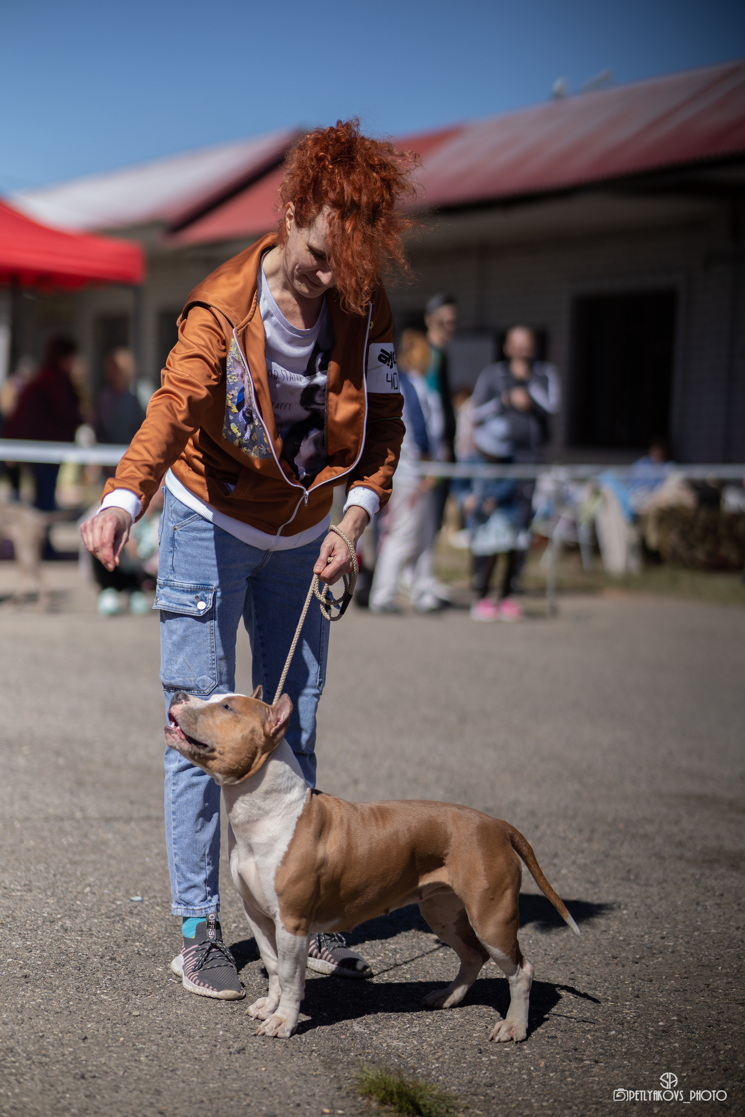 Репортаж с НАЦИОНАЛЬНАЯ ВЫСТАВКА СОБАК РАНГА САС — ЧФ. Фотограф, видеограф Пятигорск, Ставрополь, Ессентуки, Petlyakovs_photo