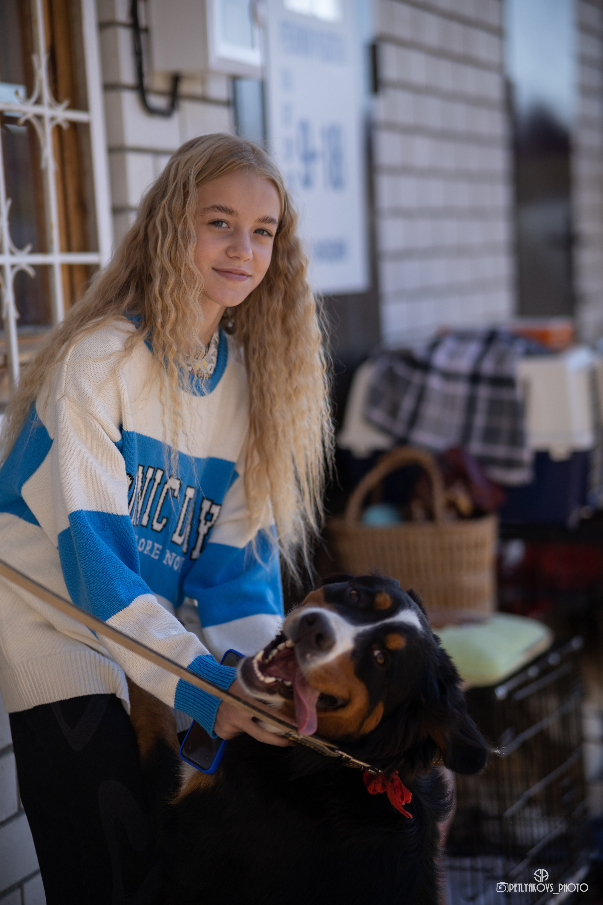 Репортаж с НАЦИОНАЛЬНАЯ ВЫСТАВКА СОБАК РАНГА САС — ЧФ. Фотограф, видеограф Пятигорск, Ставрополь, Ессентуки, Petlyakovs_photo