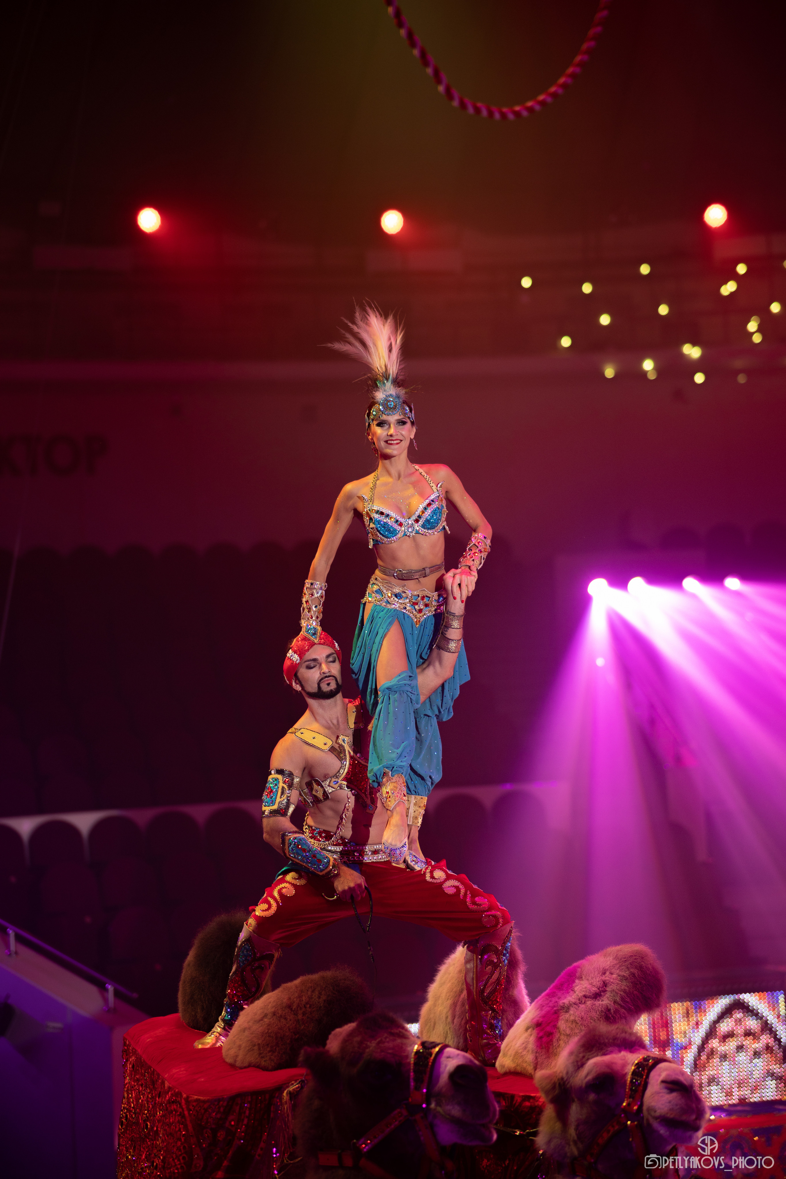 Пресс-конференция циркового шоу Гии Эрадзе «5 континентов». Фотограф, видеограф Пятигорск, Ставрополь, Ессентуки, Petlyakovs_photo