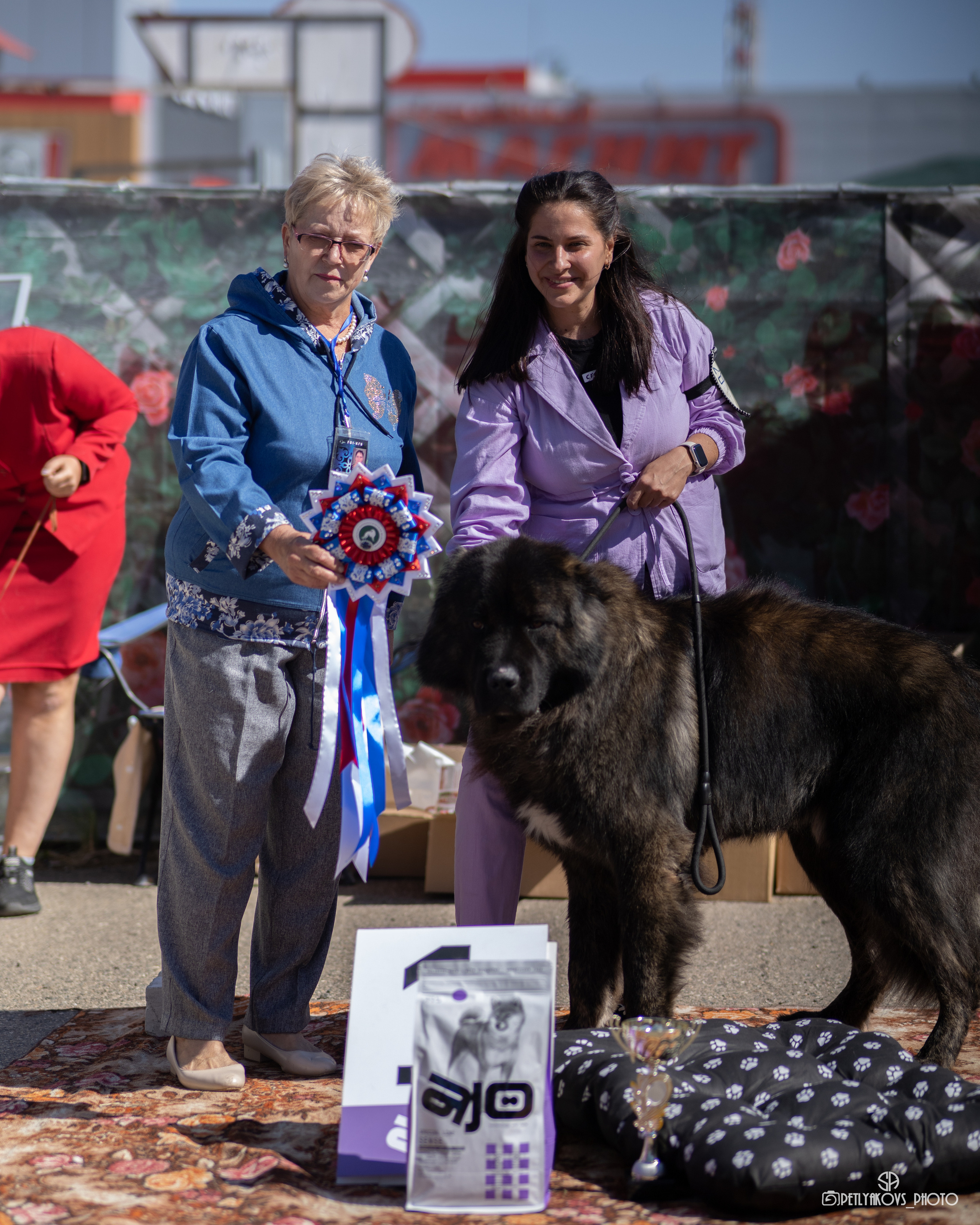 Репортаж с НАЦИОНАЛЬНАЯ ВЫСТАВКА СОБАК РАНГА САС — ЧФ. Фотограф, видеограф Пятигорск, Ставрополь, Ессентуки, Petlyakovs_photo