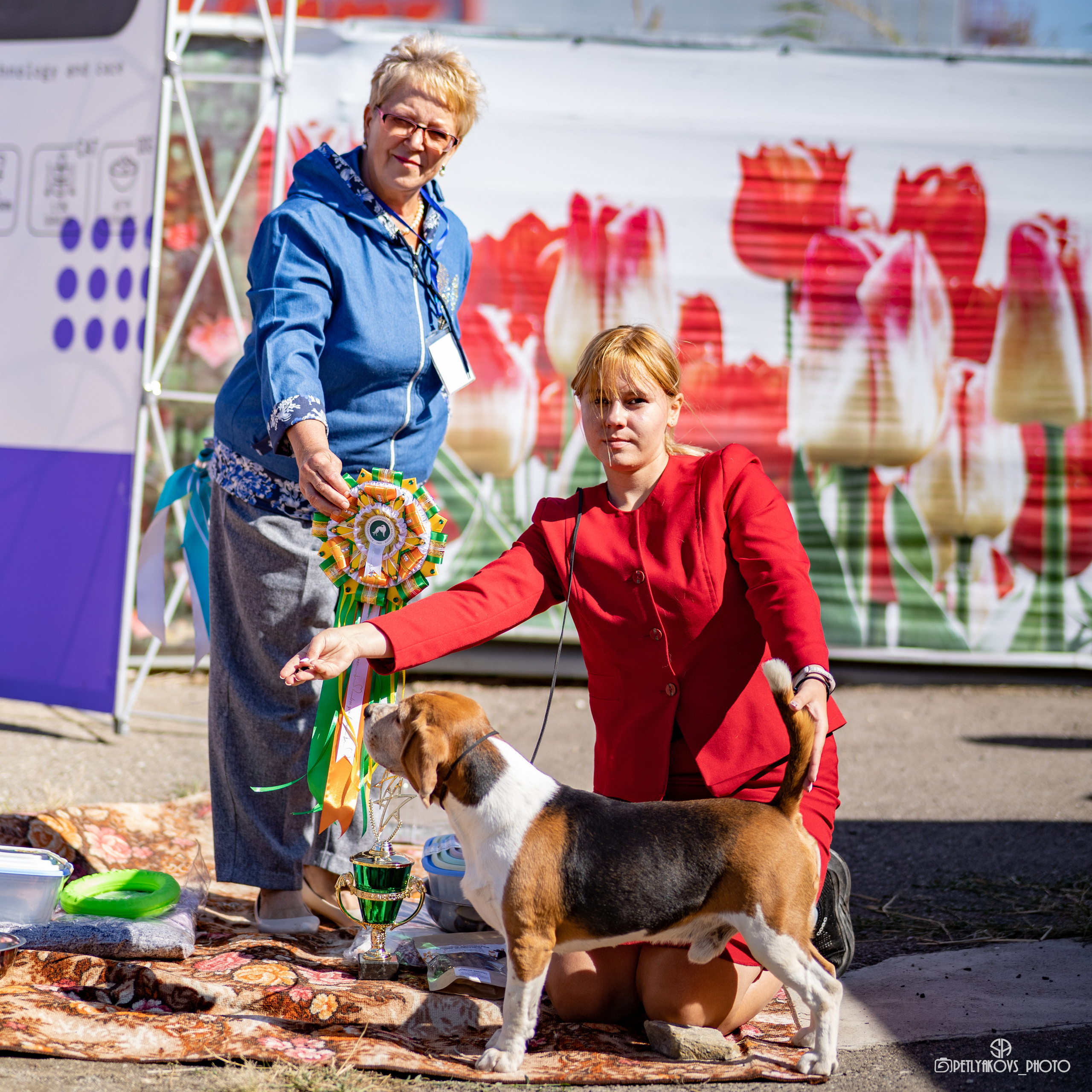 Репортаж с НАЦИОНАЛЬНАЯ ВЫСТАВКА СОБАК РАНГА САС — ЧФ. Фотограф, видеограф Пятигорск, Ставрополь, Ессентуки, Petlyakovs_photo