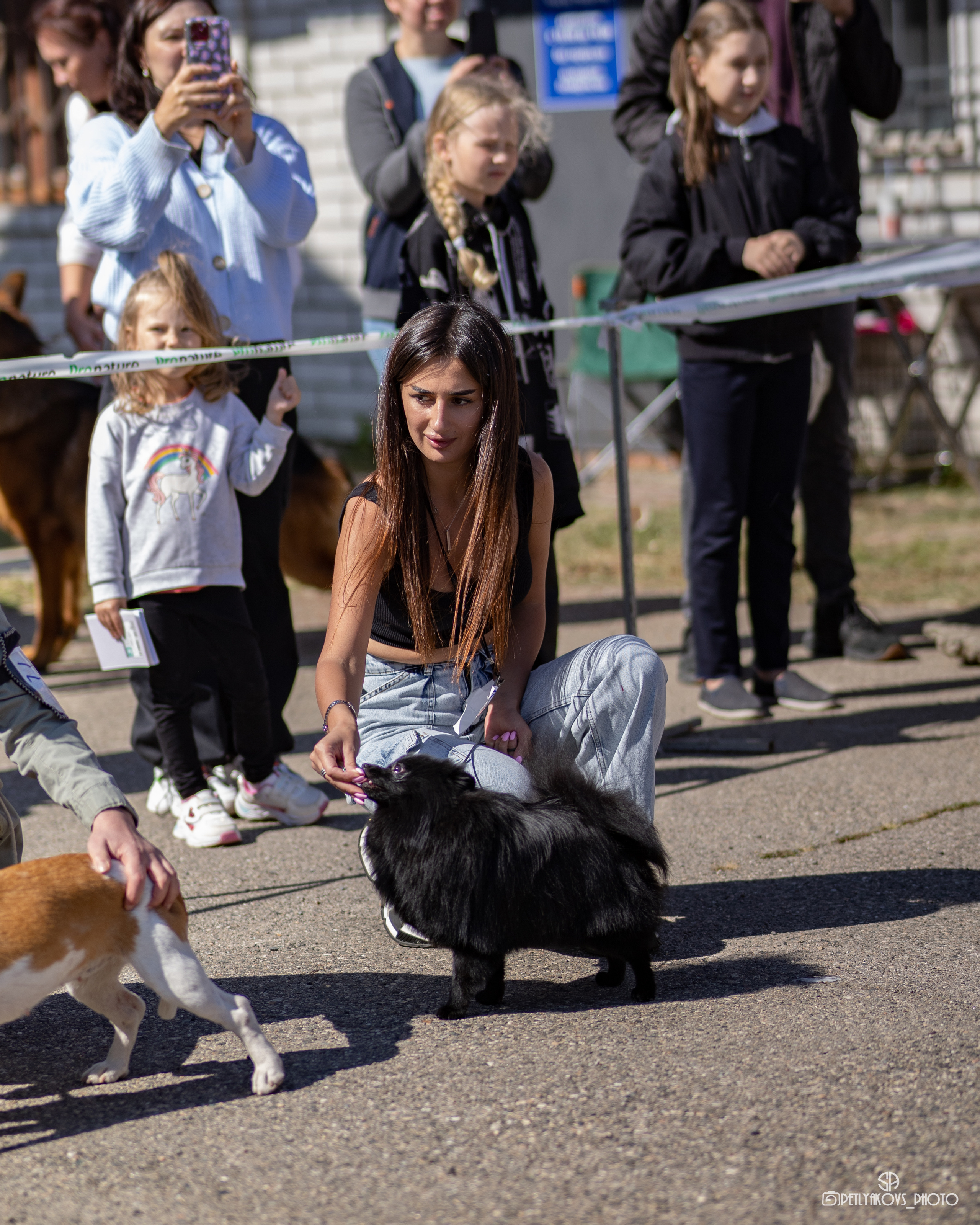 Репортаж с НАЦИОНАЛЬНАЯ ВЫСТАВКА СОБАК РАНГА САС — ЧФ. Фотограф, видеограф Пятигорск, Ставрополь, Ессентуки, Petlyakovs_photo