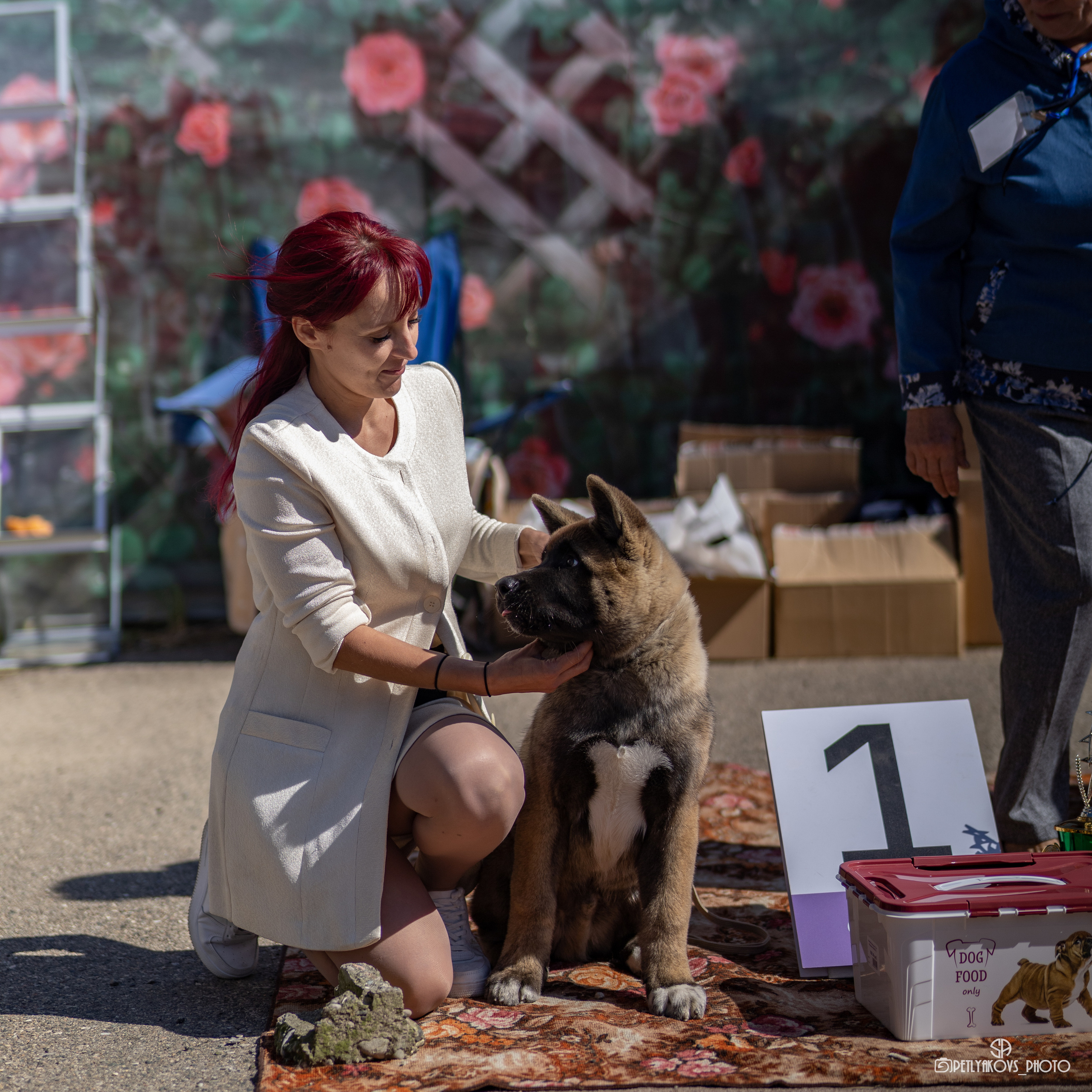 Репортаж с НАЦИОНАЛЬНАЯ ВЫСТАВКА СОБАК РАНГА САС — ЧФ. Фотограф, видеограф Пятигорск, Ставрополь, Ессентуки, Petlyakovs_photo