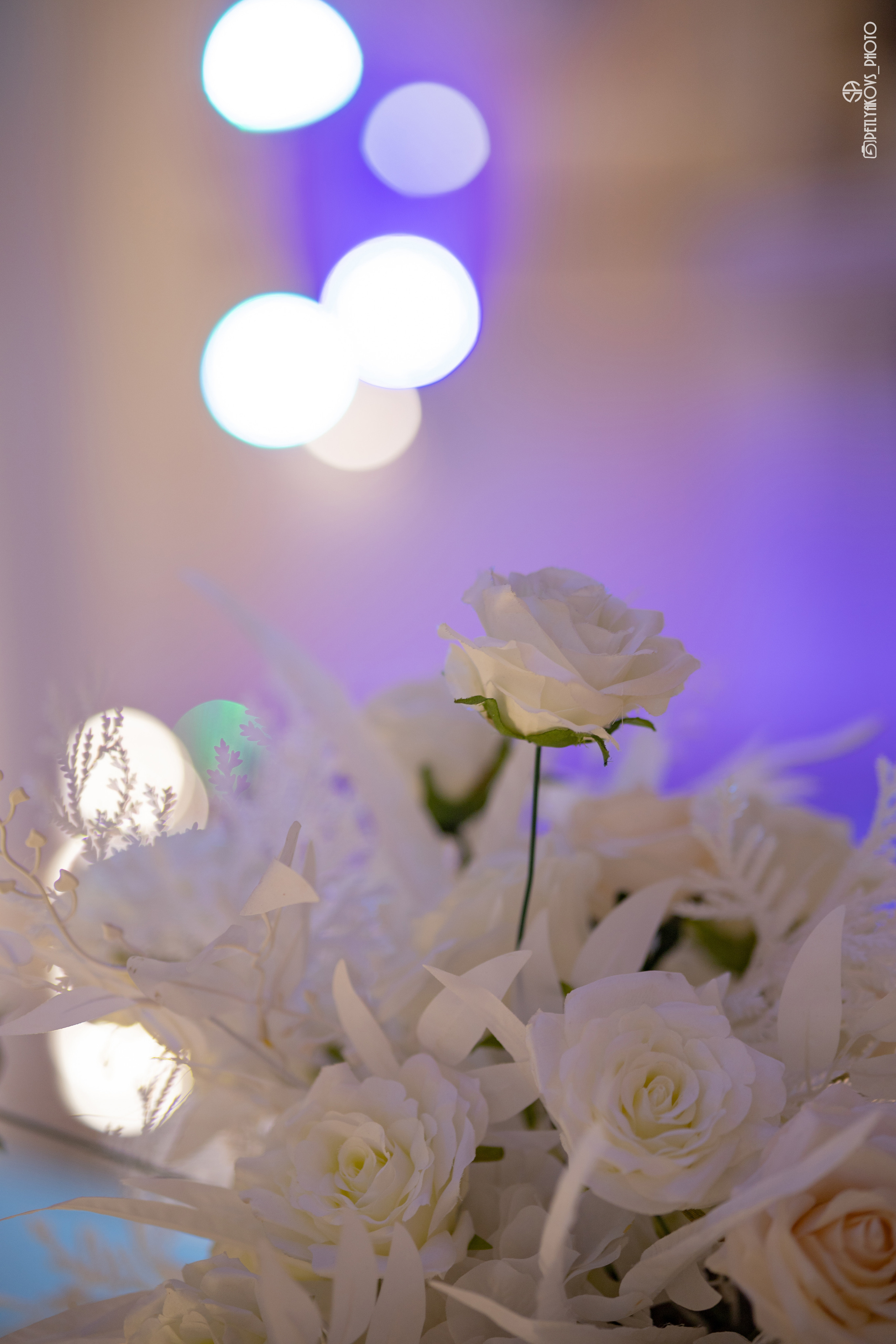 Репортаж с мероприятия «Крона Северного Кавказа». Фотограф, видеограф Пятигорск, Ставрополь, Ессентуки, Petlyakovs_photo