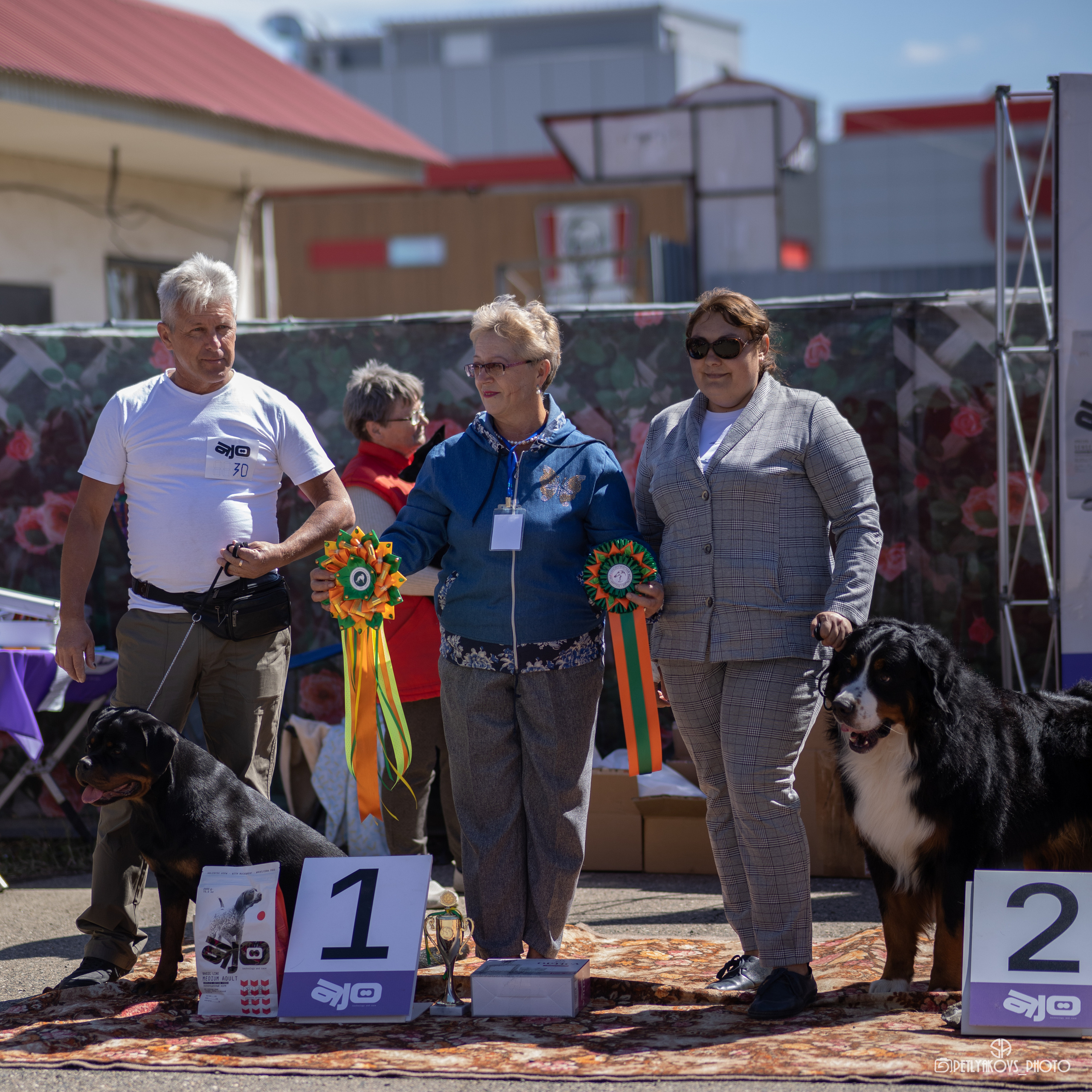 Репортаж с НАЦИОНАЛЬНАЯ ВЫСТАВКА СОБАК РАНГА САС — ЧФ. Фотограф, видеограф Пятигорск, Ставрополь, Ессентуки, Petlyakovs_photo