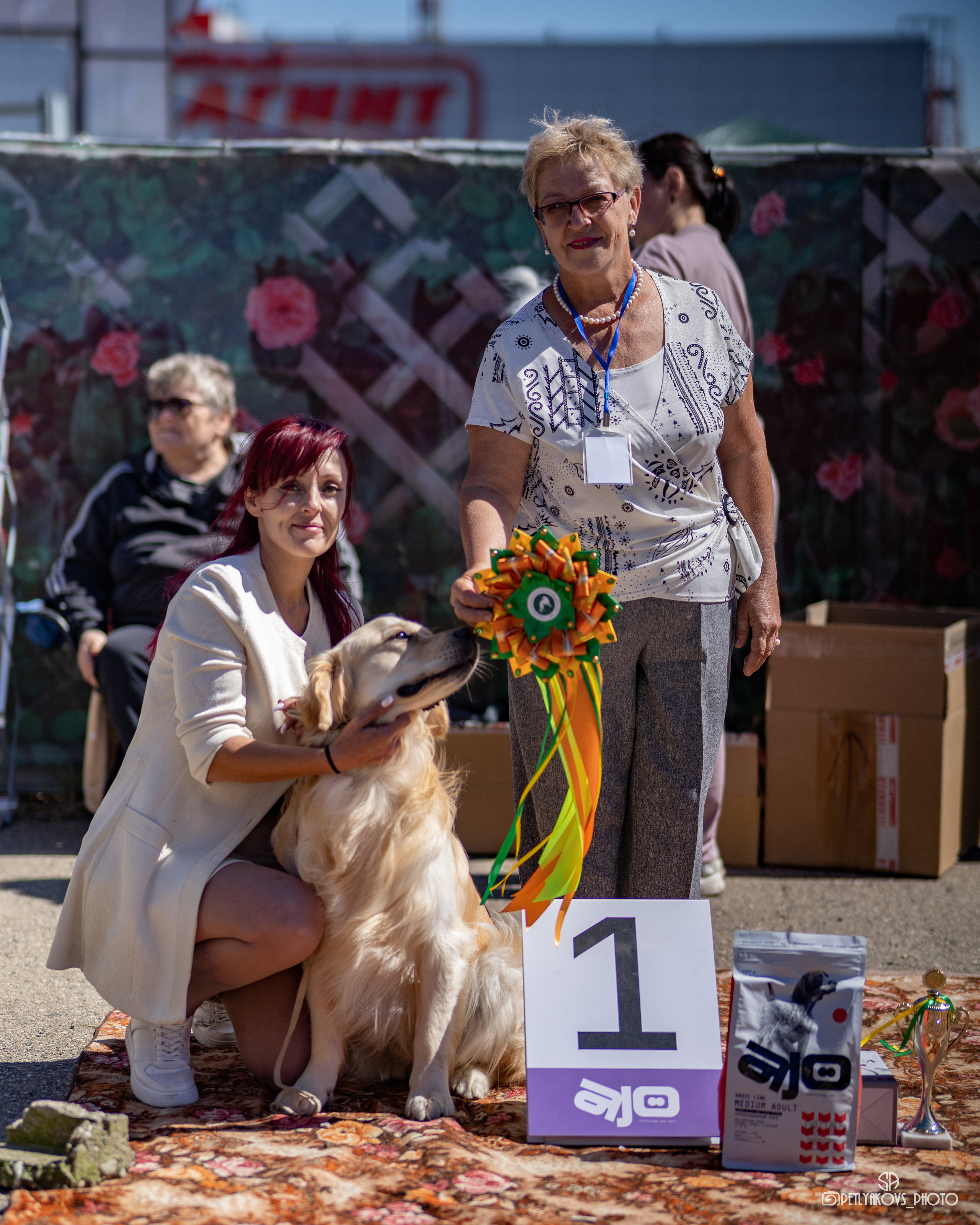 Репортаж с НАЦИОНАЛЬНАЯ ВЫСТАВКА СОБАК РАНГА САС — ЧФ. Фотограф, видеограф Пятигорск, Ставрополь, Ессентуки, Petlyakovs_photo