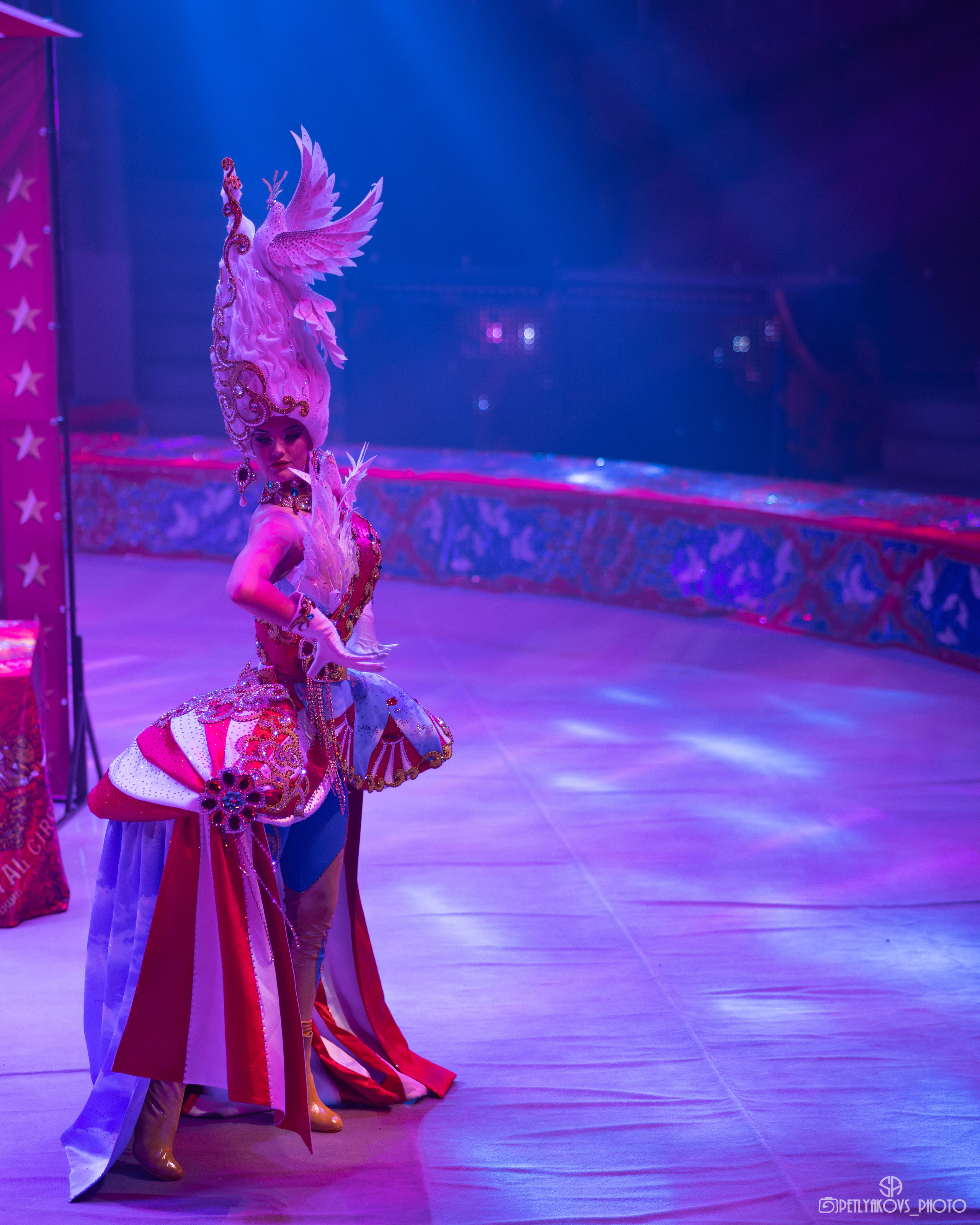 Пресс-конференция циркового шоу Гии Эрадзе «5 континентов». Фотограф, видеограф Пятигорск, Ставрополь, Ессентуки, Petlyakovs_photo