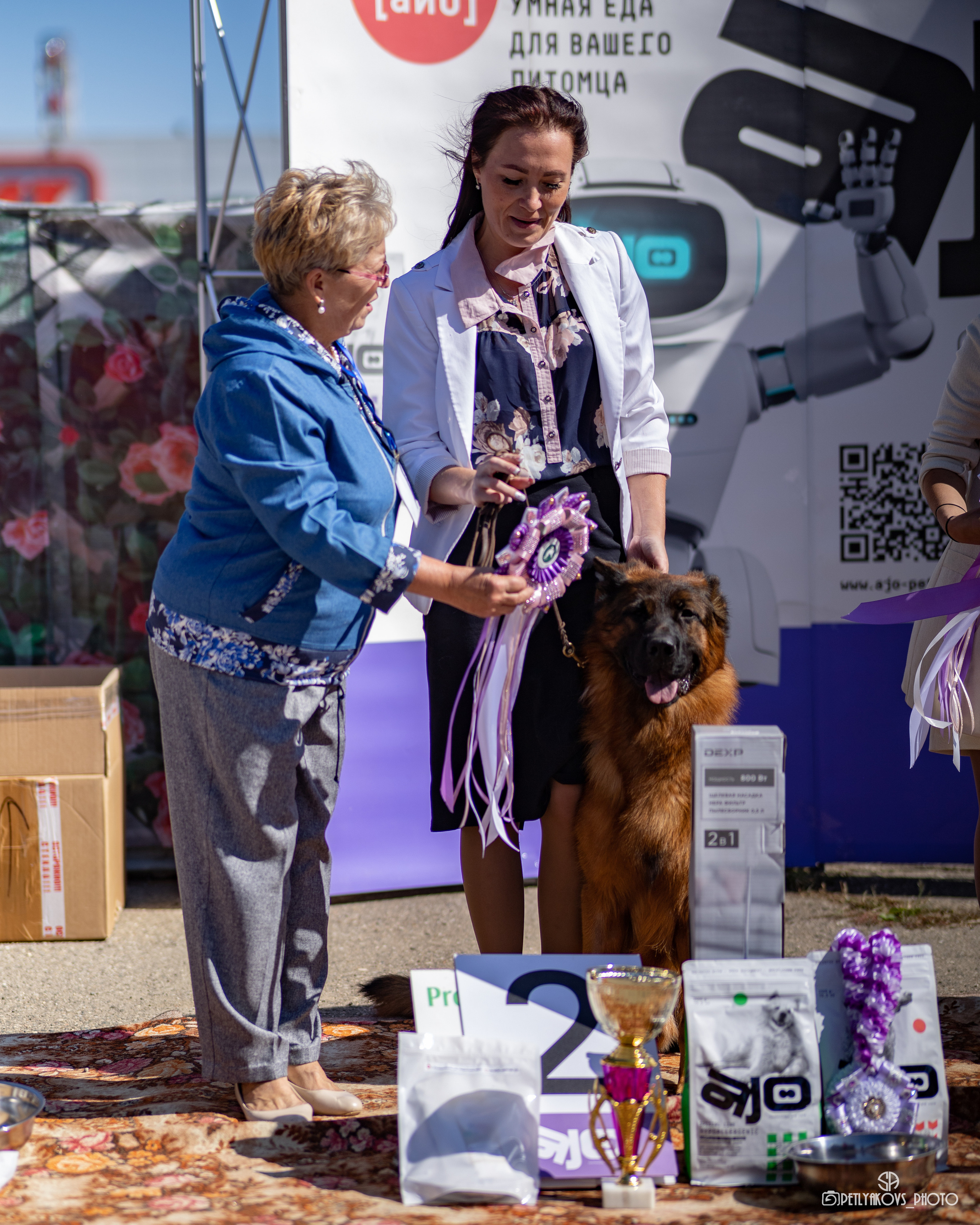 Репортаж с НАЦИОНАЛЬНАЯ ВЫСТАВКА СОБАК РАНГА САС — ЧФ. Фотограф, видеограф Пятигорск, Ставрополь, Ессентуки, Petlyakovs_photo