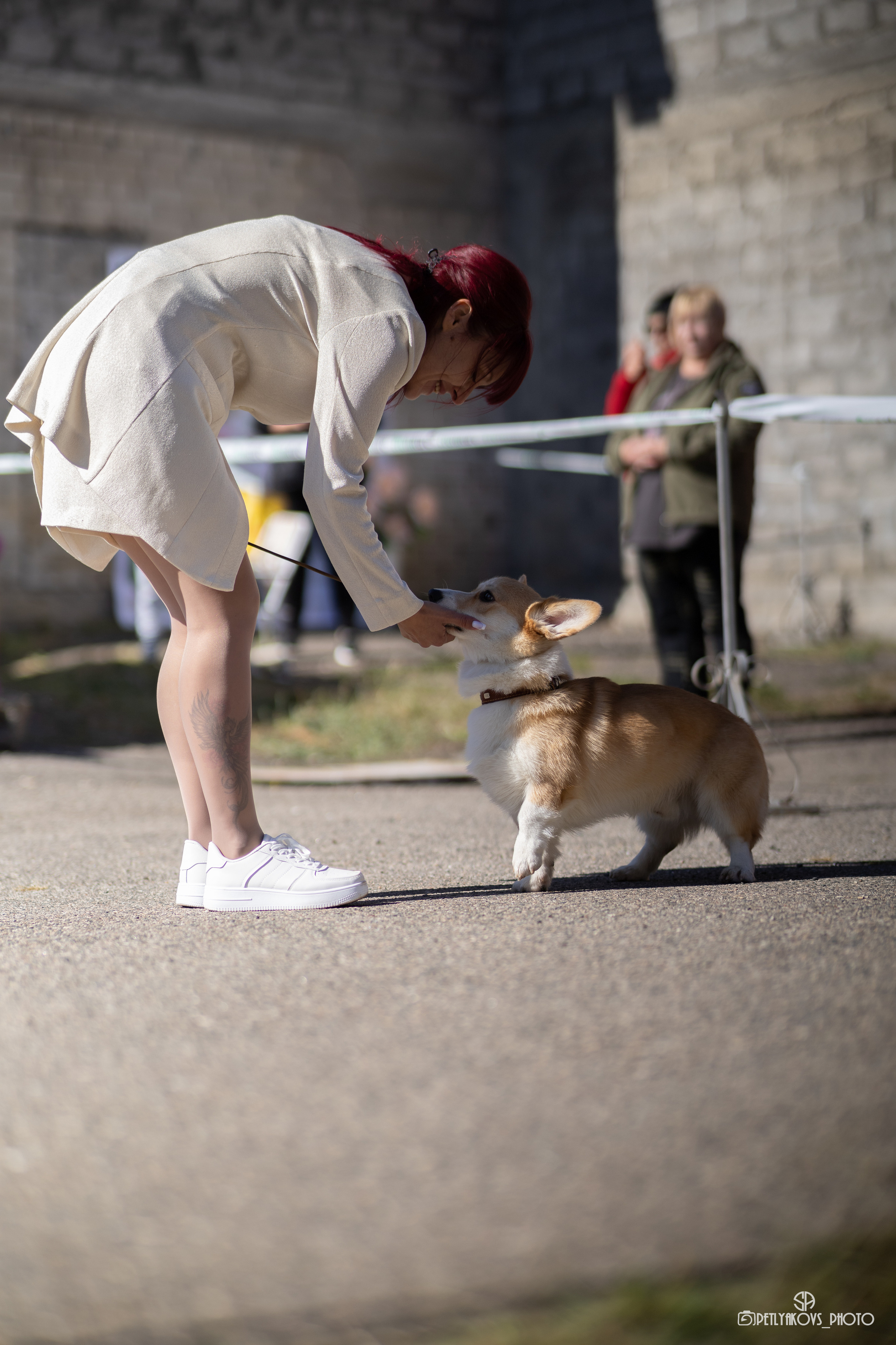 Репортаж с НАЦИОНАЛЬНАЯ ВЫСТАВКА СОБАК РАНГА САС — ЧФ. Фотограф, видеограф Пятигорск, Ставрополь, Ессентуки, Petlyakovs_photo