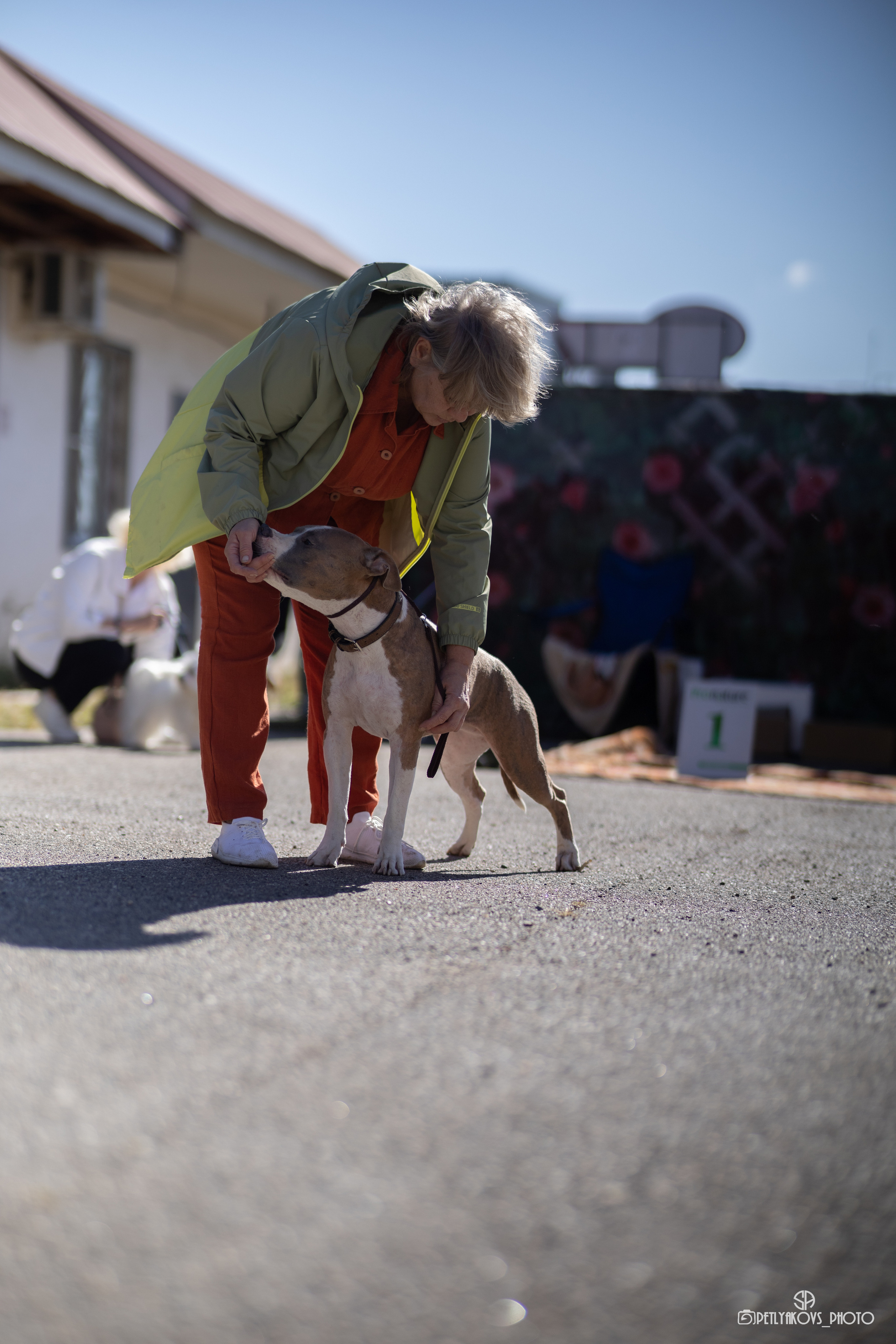 Репортаж с НАЦИОНАЛЬНАЯ ВЫСТАВКА СОБАК РАНГА САС — ЧФ. Фотограф, видеограф Пятигорск, Ставрополь, Ессентуки, Petlyakovs_photo