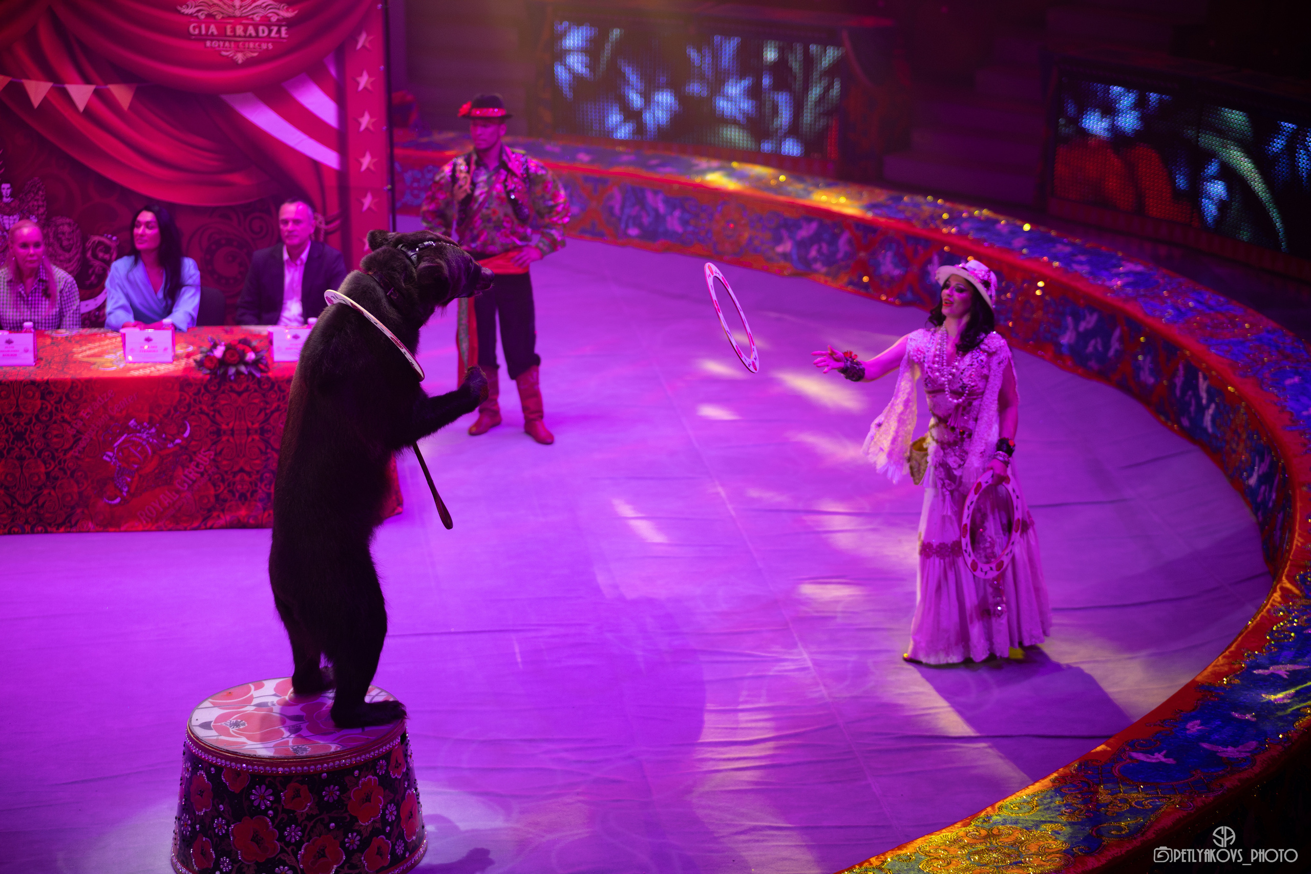Пресс-конференция циркового шоу Гии Эрадзе «5 континентов». Фотограф, видеограф Пятигорск, Ставрополь, Ессентуки, Petlyakovs_photo