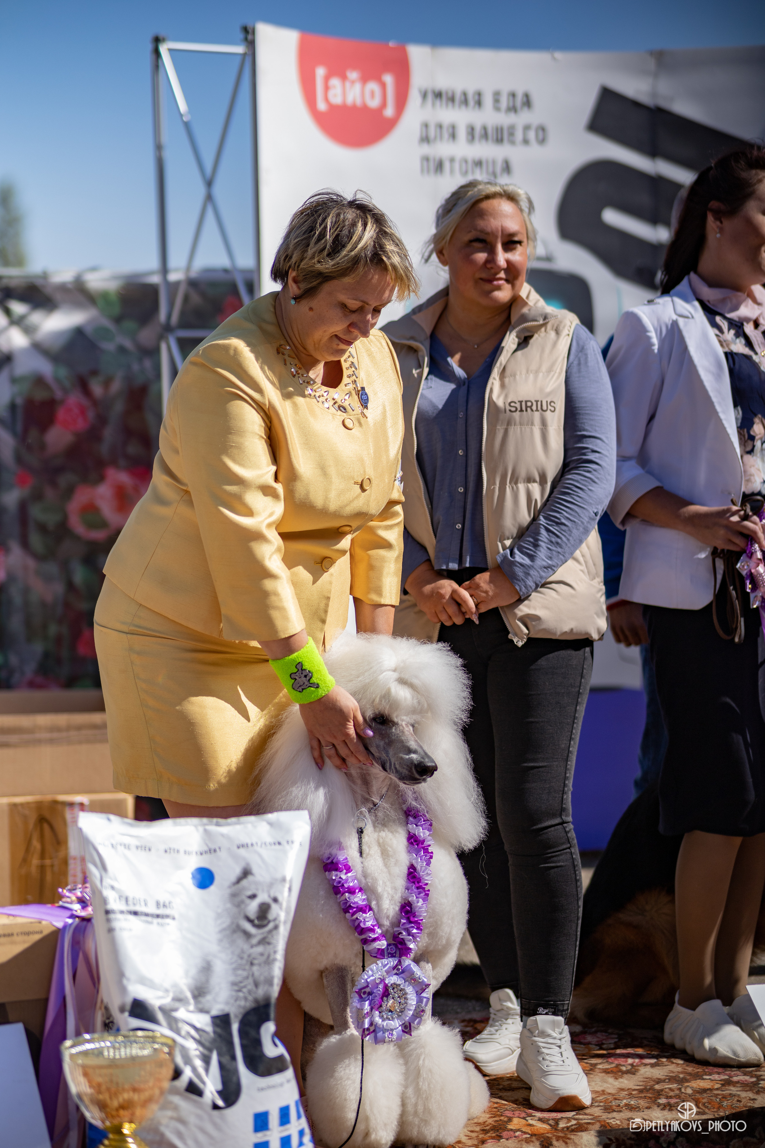 Репортаж с НАЦИОНАЛЬНАЯ ВЫСТАВКА СОБАК РАНГА САС — ЧФ. Фотограф, видеограф Пятигорск, Ставрополь, Ессентуки, Petlyakovs_photo