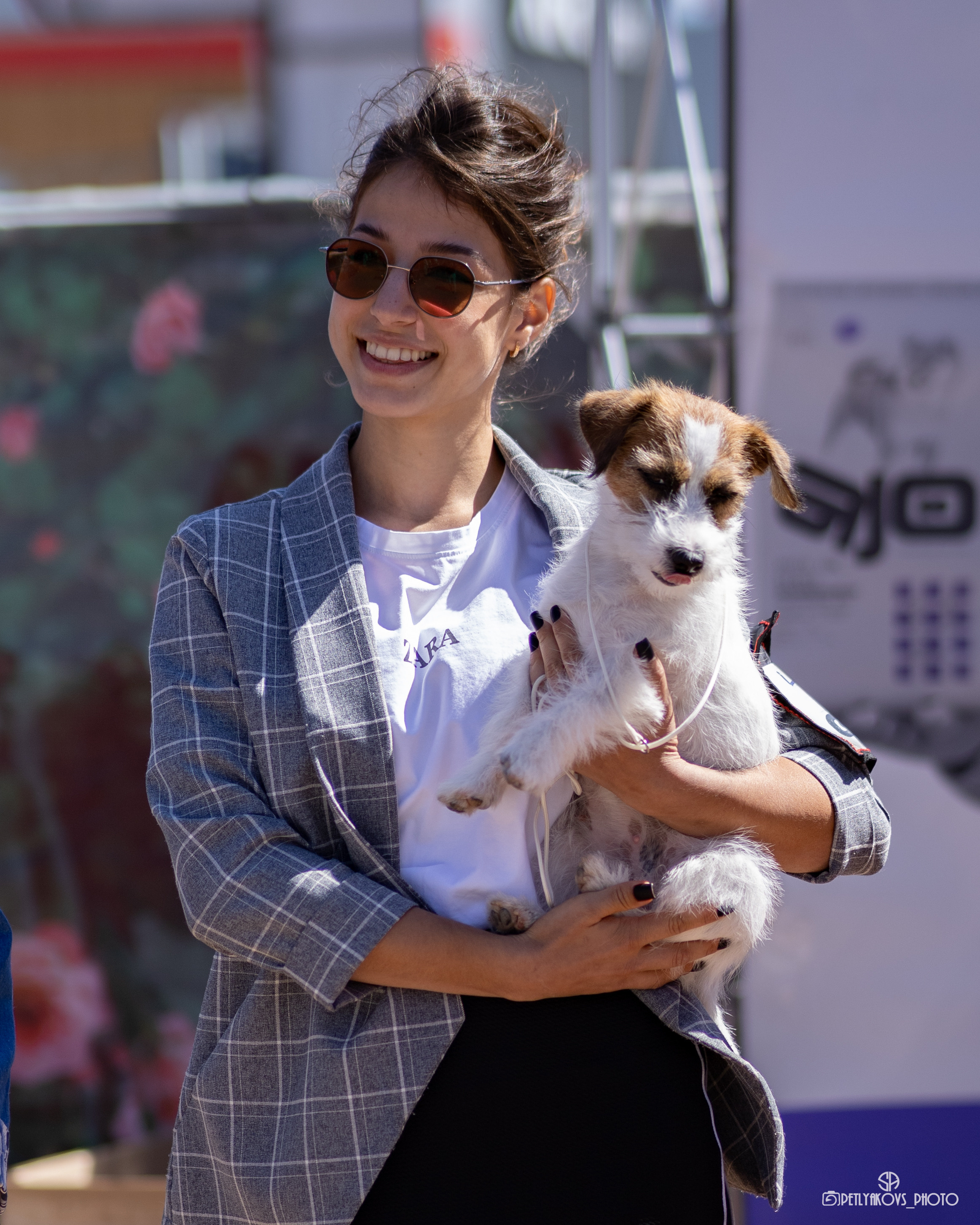 Репортаж с НАЦИОНАЛЬНАЯ ВЫСТАВКА СОБАК РАНГА САС — ЧФ. Фотограф, видеограф Пятигорск, Ставрополь, Ессентуки, Petlyakovs_photo