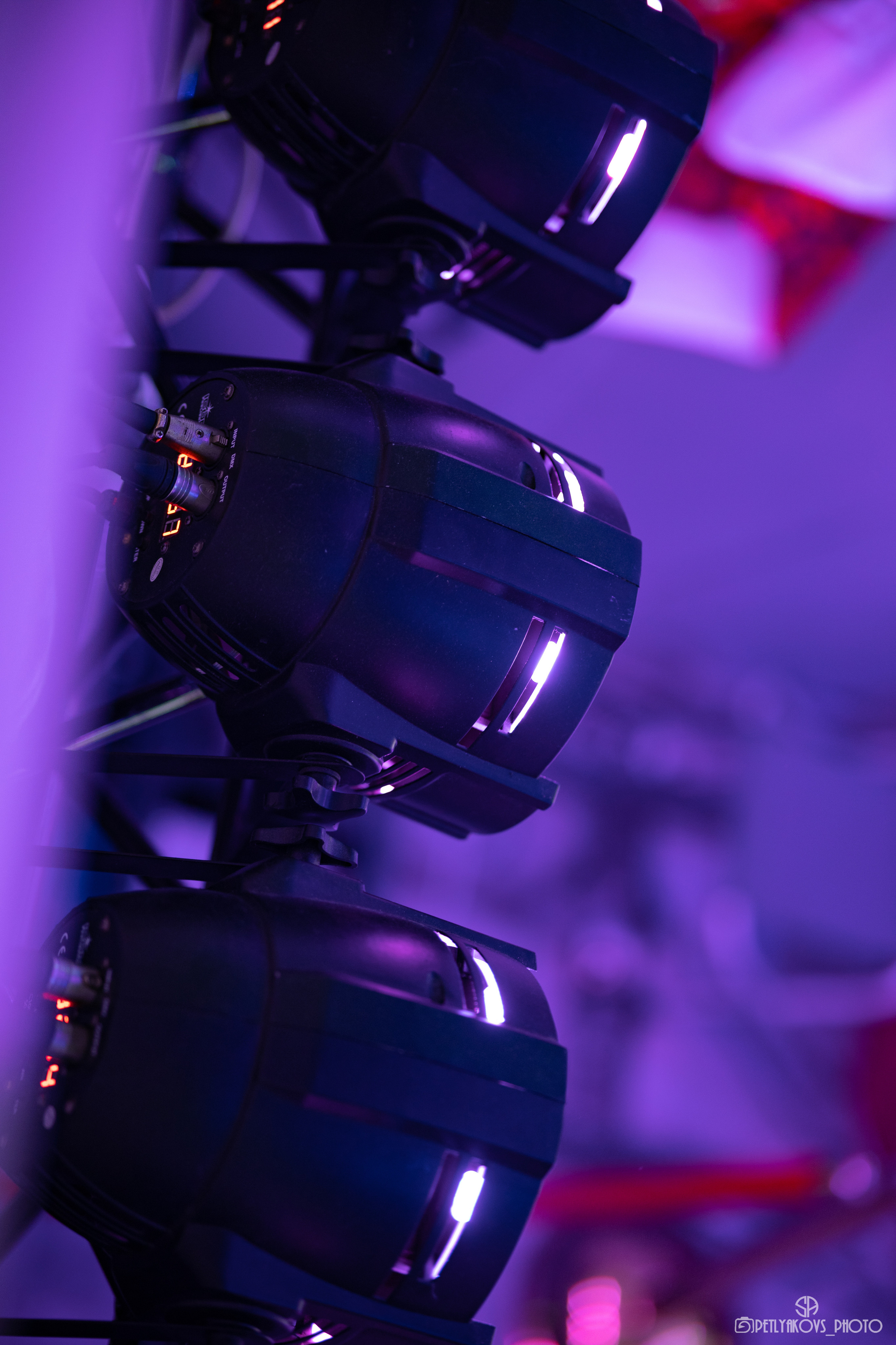 Пресс-конференция циркового шоу Гии Эрадзе «5 континентов». Фотограф, видеограф Пятигорск, Ставрополь, Ессентуки, Petlyakovs_photo