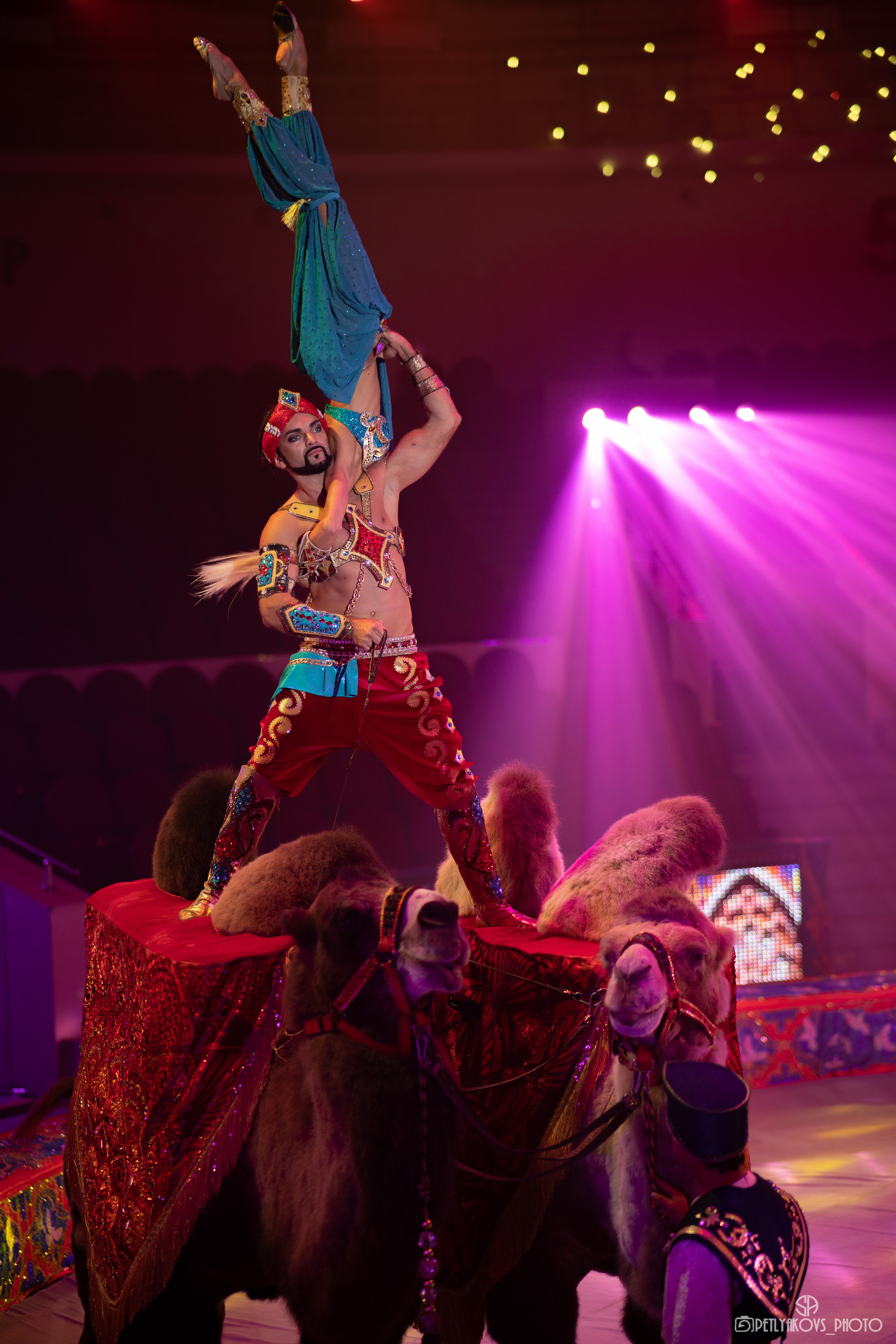 Пресс-конференция циркового шоу Гии Эрадзе «5 континентов». Фотограф, видеограф Пятигорск, Ставрополь, Ессентуки, Petlyakovs_photo