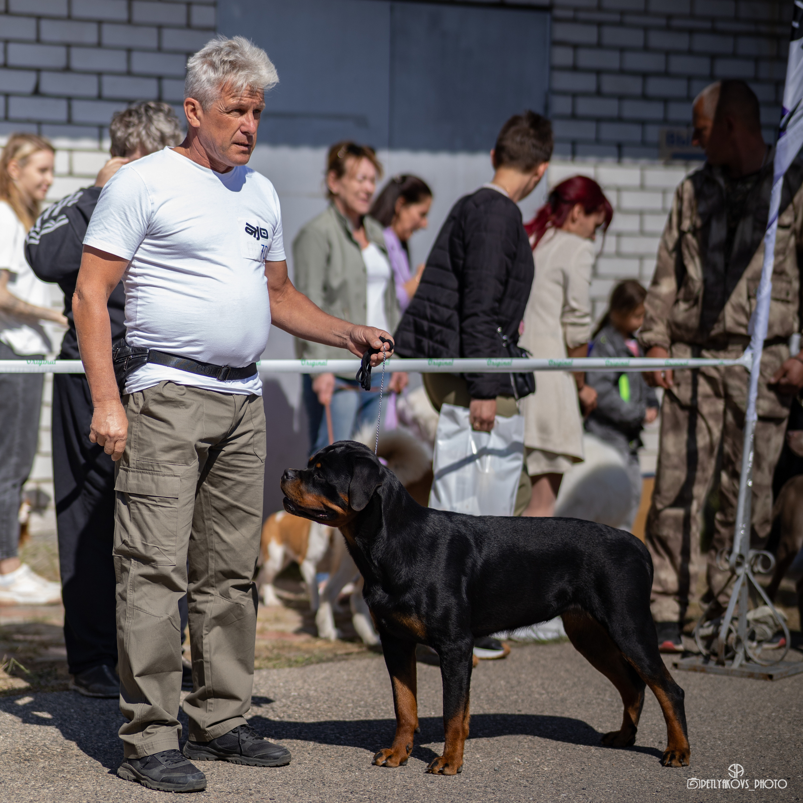 Репортаж с НАЦИОНАЛЬНАЯ ВЫСТАВКА СОБАК РАНГА САС — ЧФ. Фотограф, видеограф Пятигорск, Ставрополь, Ессентуки, Petlyakovs_photo