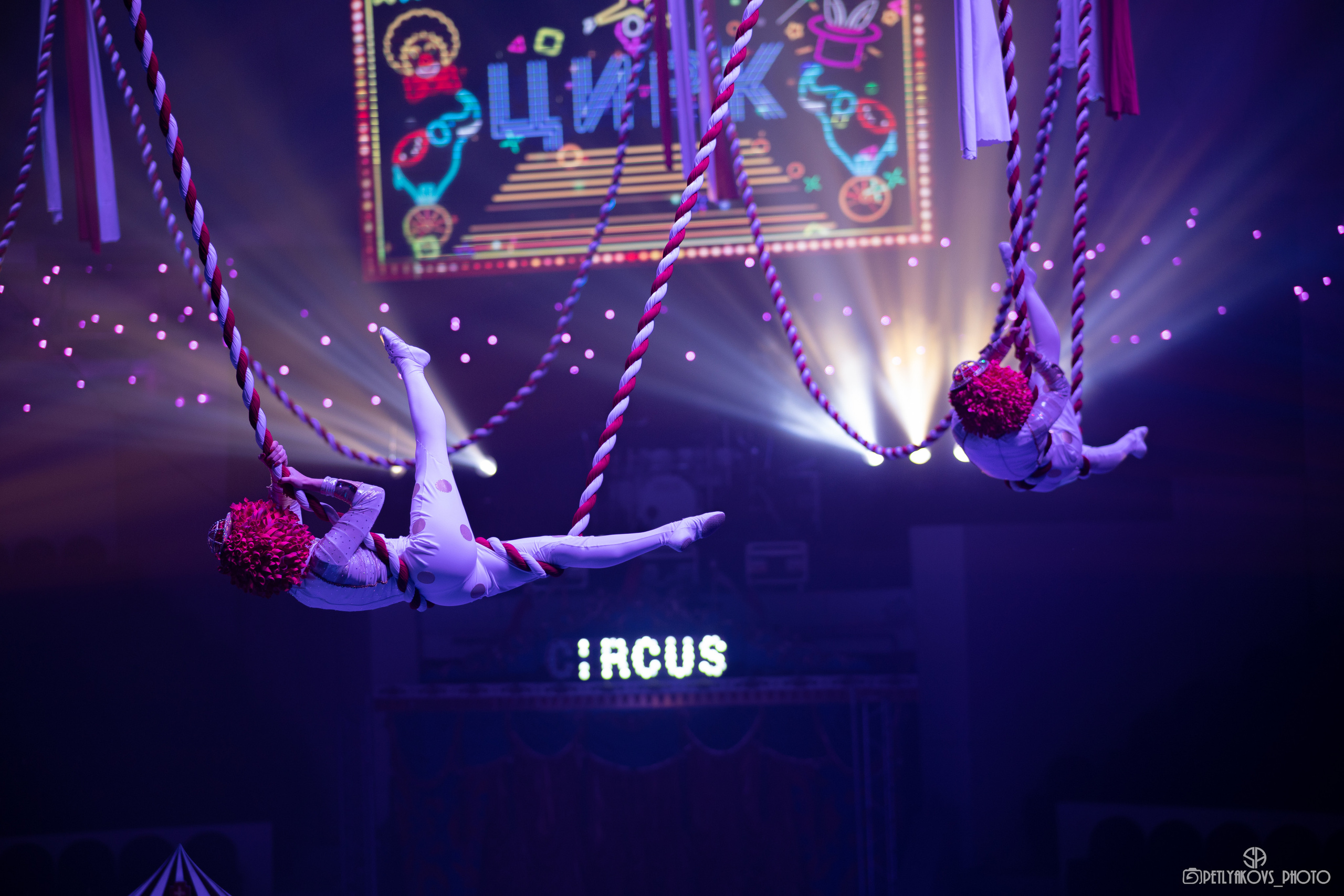 Пресс-конференция циркового шоу Гии Эрадзе «5 континентов». Фотограф, видеограф Пятигорск, Ставрополь, Ессентуки, Petlyakovs_photo