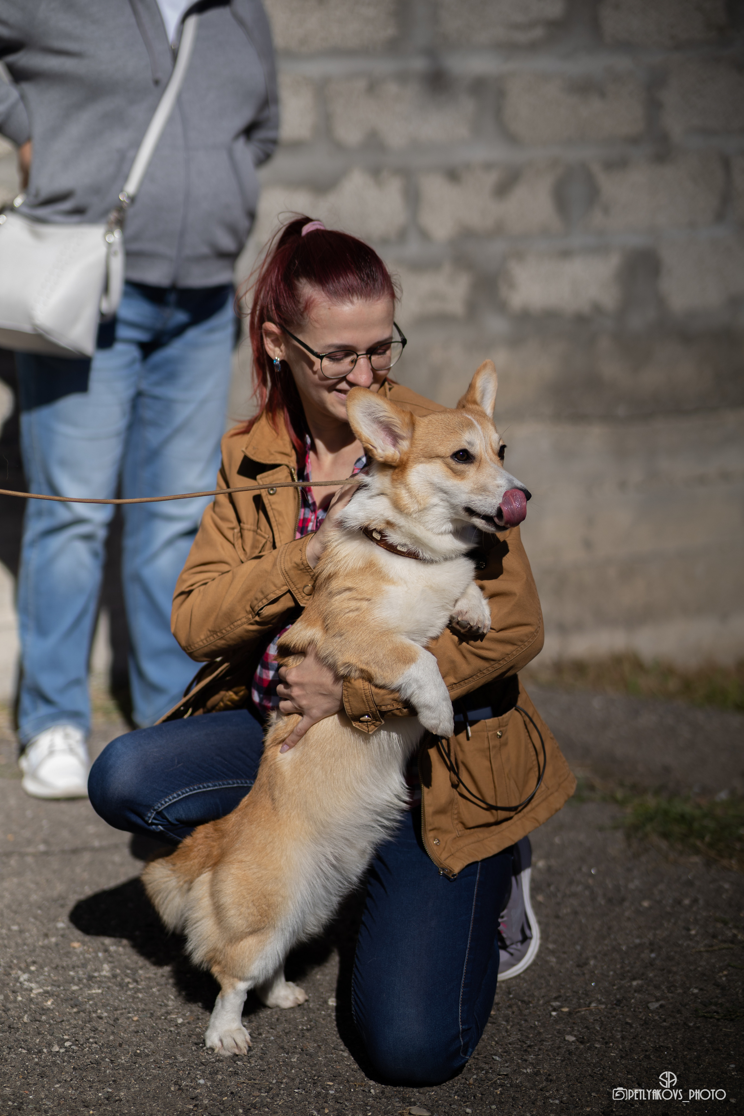 Репортаж с НАЦИОНАЛЬНАЯ ВЫСТАВКА СОБАК РАНГА САС — ЧФ. Фотограф, видеограф Пятигорск, Ставрополь, Ессентуки, Petlyakovs_photo