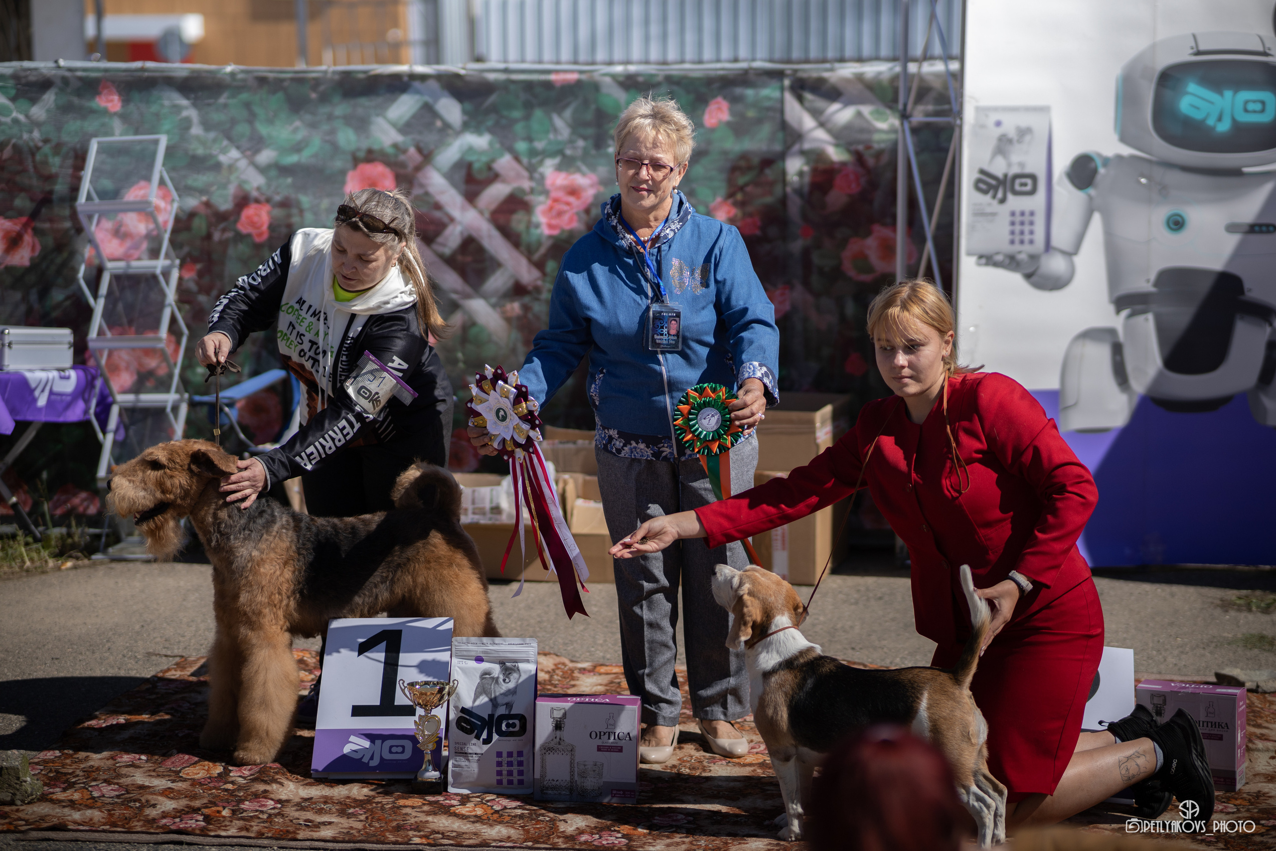Репортаж с НАЦИОНАЛЬНАЯ ВЫСТАВКА СОБАК РАНГА САС — ЧФ. Фотограф, видеограф Пятигорск, Ставрополь, Ессентуки, Petlyakovs_photo