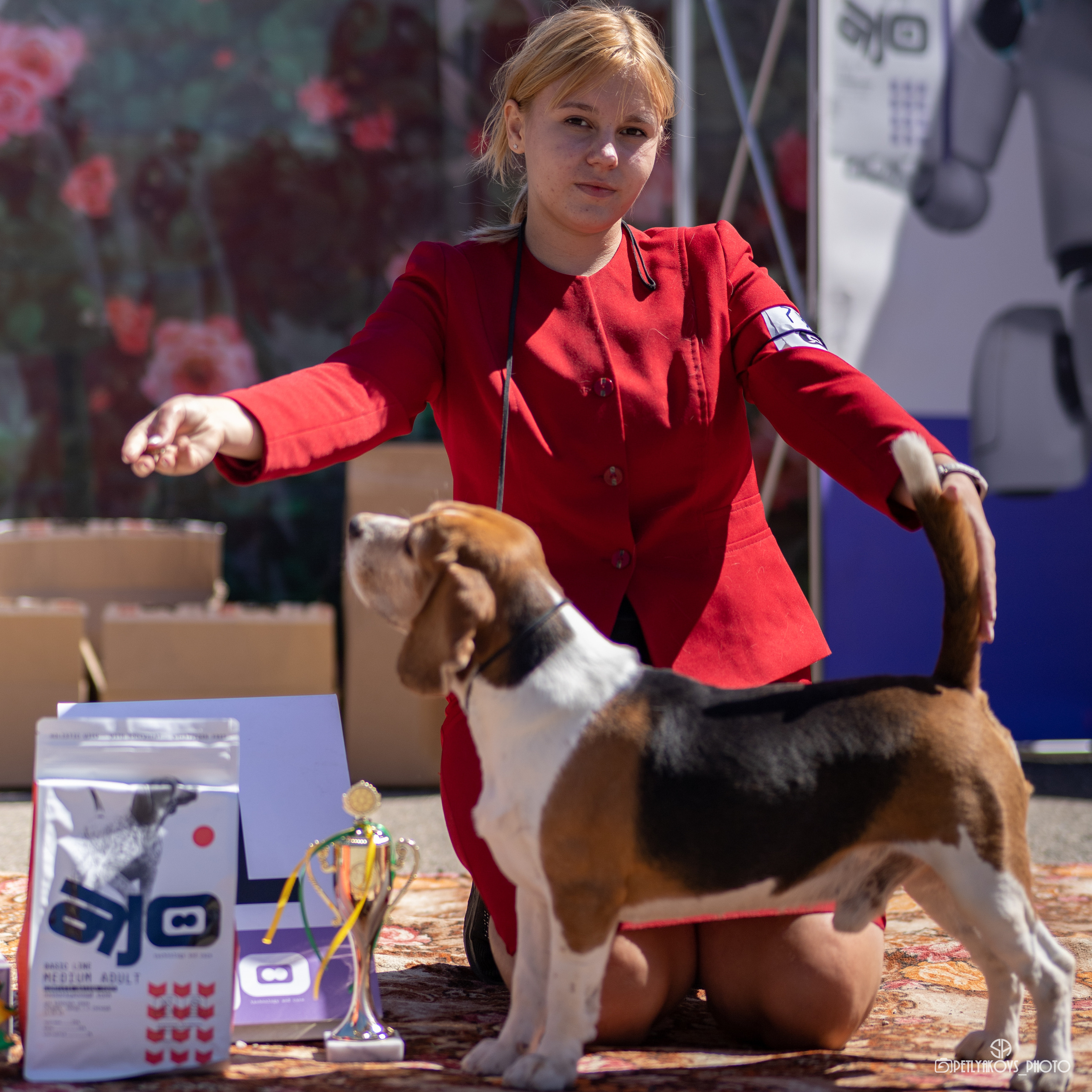 Репортаж с НАЦИОНАЛЬНАЯ ВЫСТАВКА СОБАК РАНГА САС — ЧФ. Фотограф, видеограф Пятигорск, Ставрополь, Ессентуки, Petlyakovs_photo