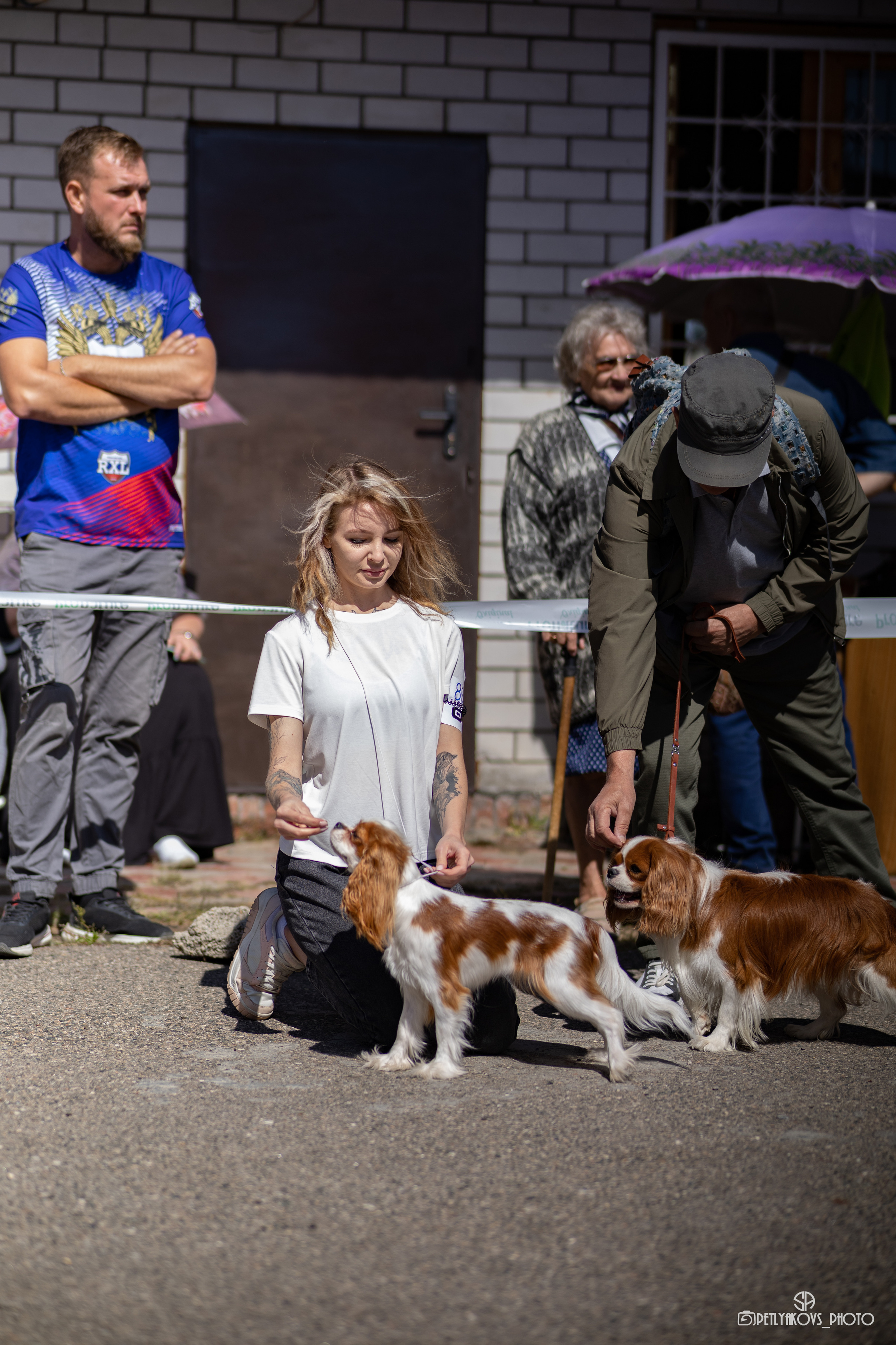 Репортаж с НАЦИОНАЛЬНАЯ ВЫСТАВКА СОБАК РАНГА САС — ЧФ. Фотограф, видеограф Пятигорск, Ставрополь, Ессентуки, Petlyakovs_photo