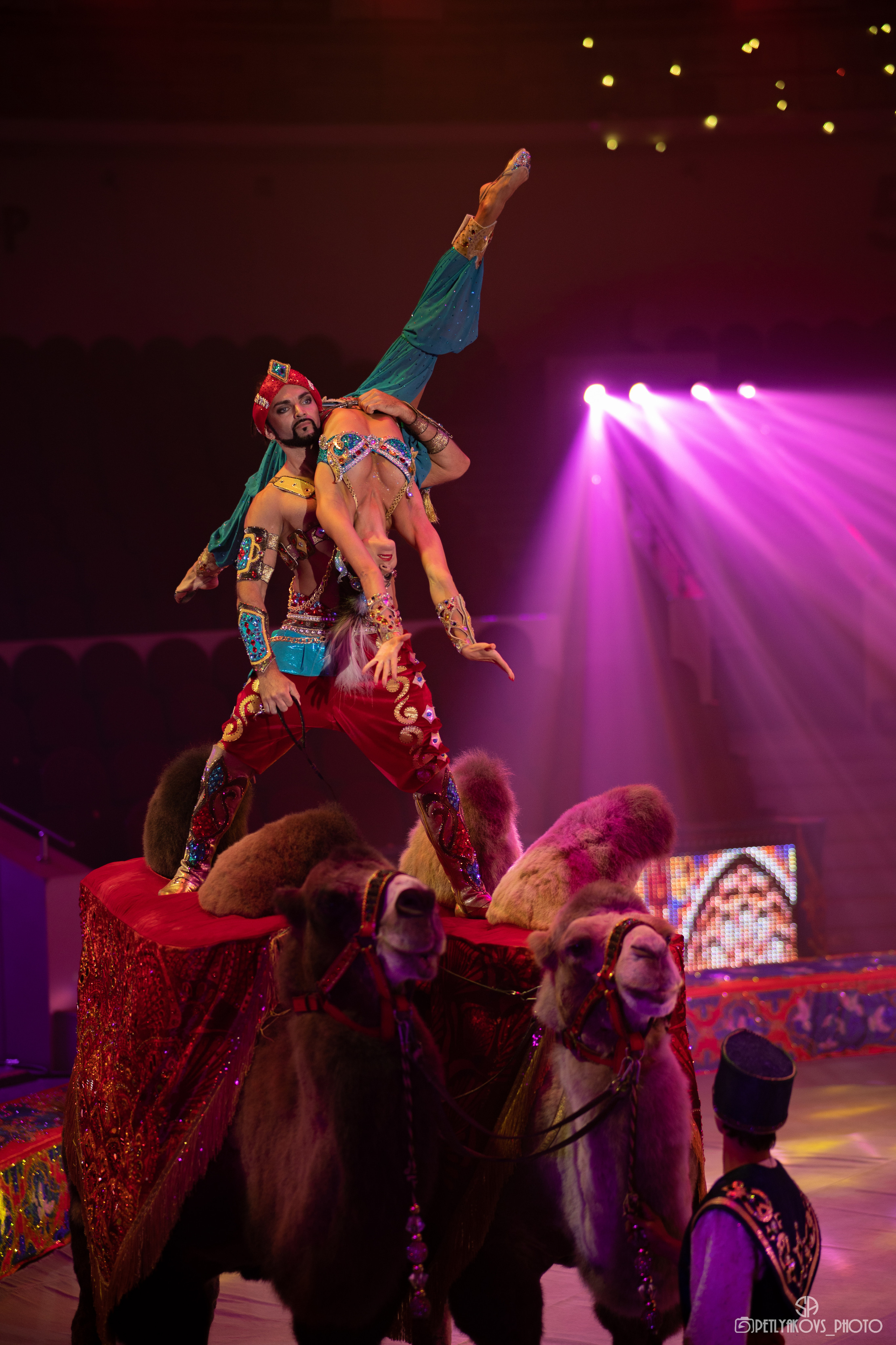 Пресс-конференция циркового шоу Гии Эрадзе «5 континентов». Фотограф, видеограф Пятигорск, Ставрополь, Ессентуки, Petlyakovs_photo