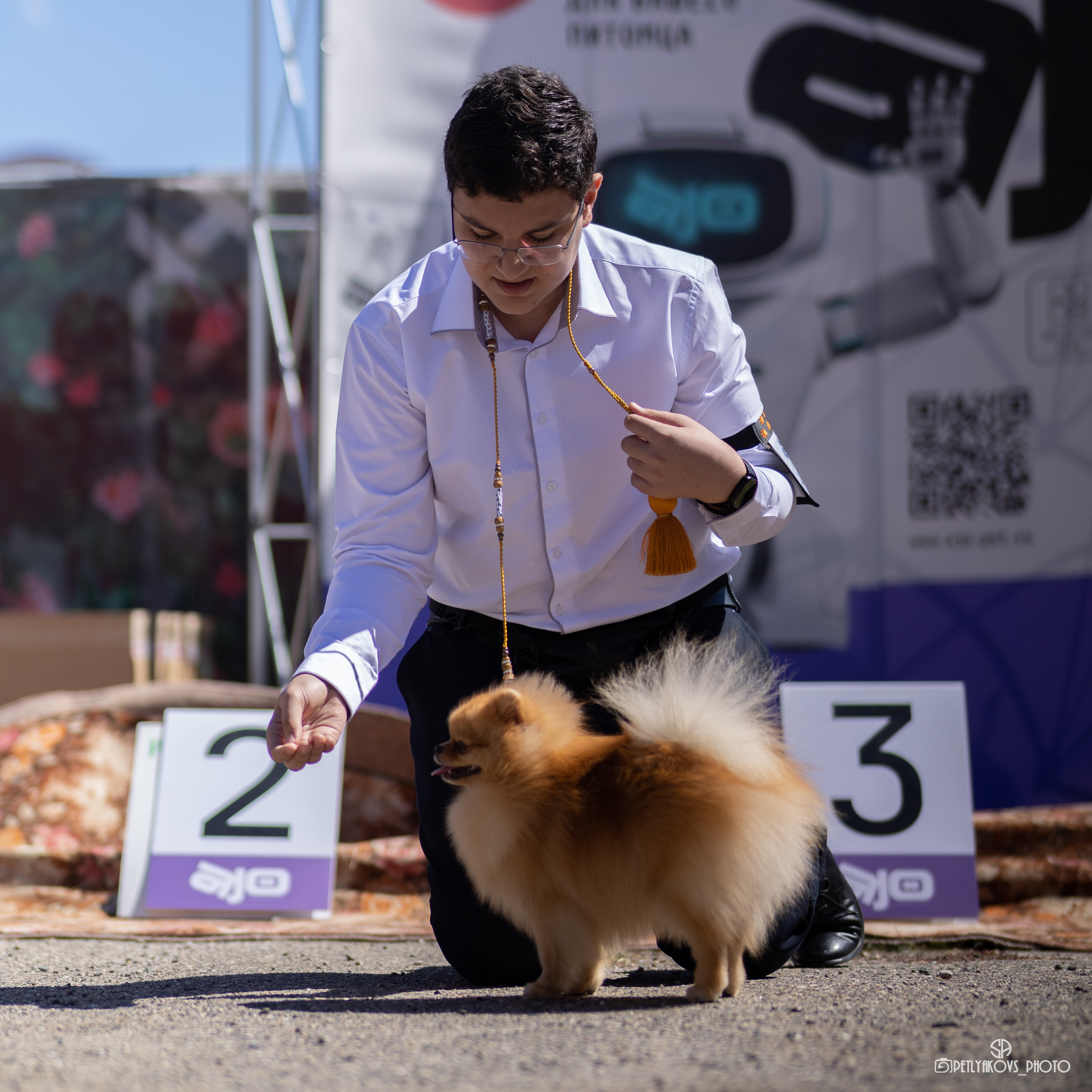 Репортаж с НАЦИОНАЛЬНАЯ ВЫСТАВКА СОБАК РАНГА САС — ЧФ. Фотограф, видеограф Пятигорск, Ставрополь, Ессентуки, Petlyakovs_photo