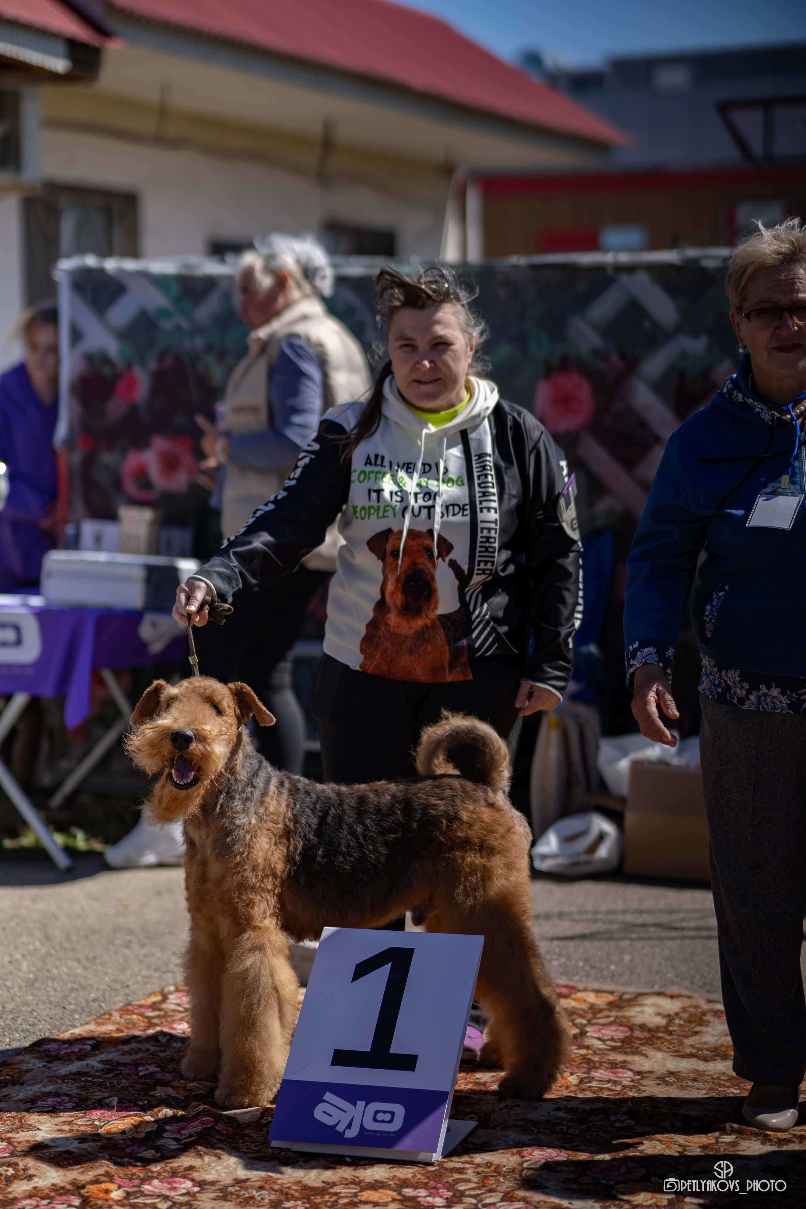 Репортаж с НАЦИОНАЛЬНАЯ ВЫСТАВКА СОБАК РАНГА САС — ЧФ. Фотограф, видеограф Пятигорск, Ставрополь, Ессентуки, Petlyakovs_photo