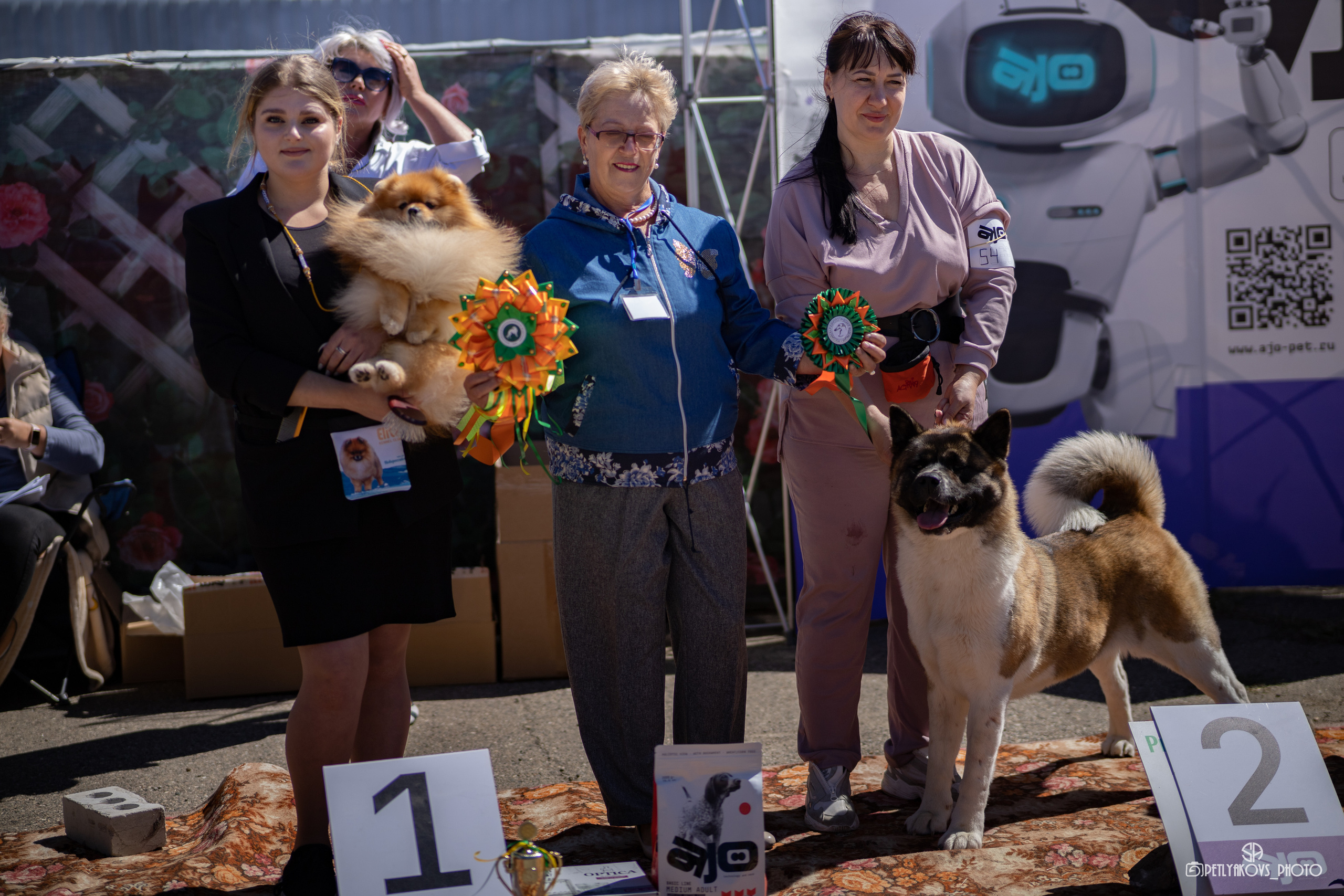 Репортаж с НАЦИОНАЛЬНАЯ ВЫСТАВКА СОБАК РАНГА САС — ЧФ. Фотограф, видеограф Пятигорск, Ставрополь, Ессентуки, Petlyakovs_photo