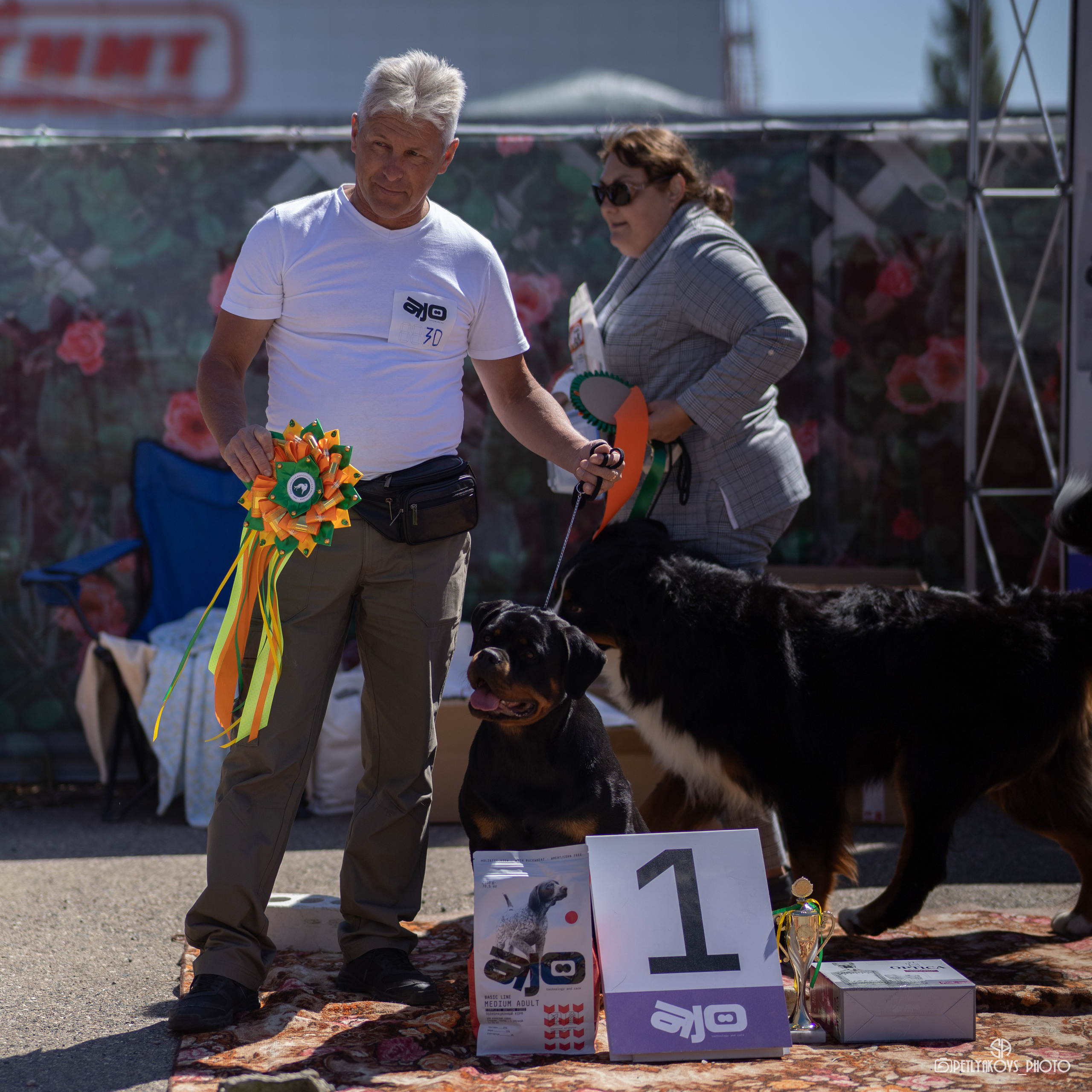 Репортаж с НАЦИОНАЛЬНАЯ ВЫСТАВКА СОБАК РАНГА САС — ЧФ. Фотограф, видеограф Пятигорск, Ставрополь, Ессентуки, Petlyakovs_photo