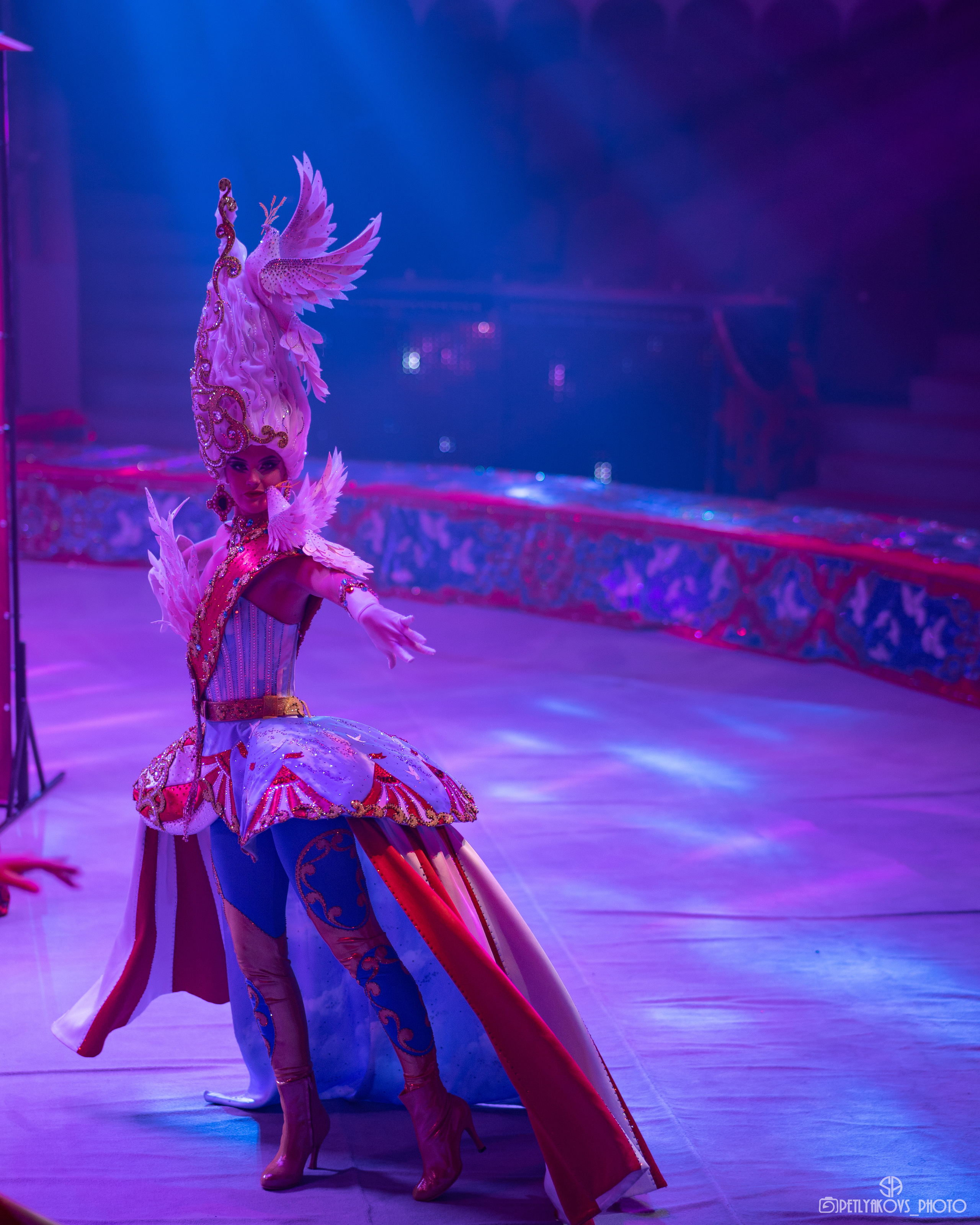 Пресс-конференция циркового шоу Гии Эрадзе «5 континентов». Фотограф, видеограф Пятигорск, Ставрополь, Ессентуки, Petlyakovs_photo