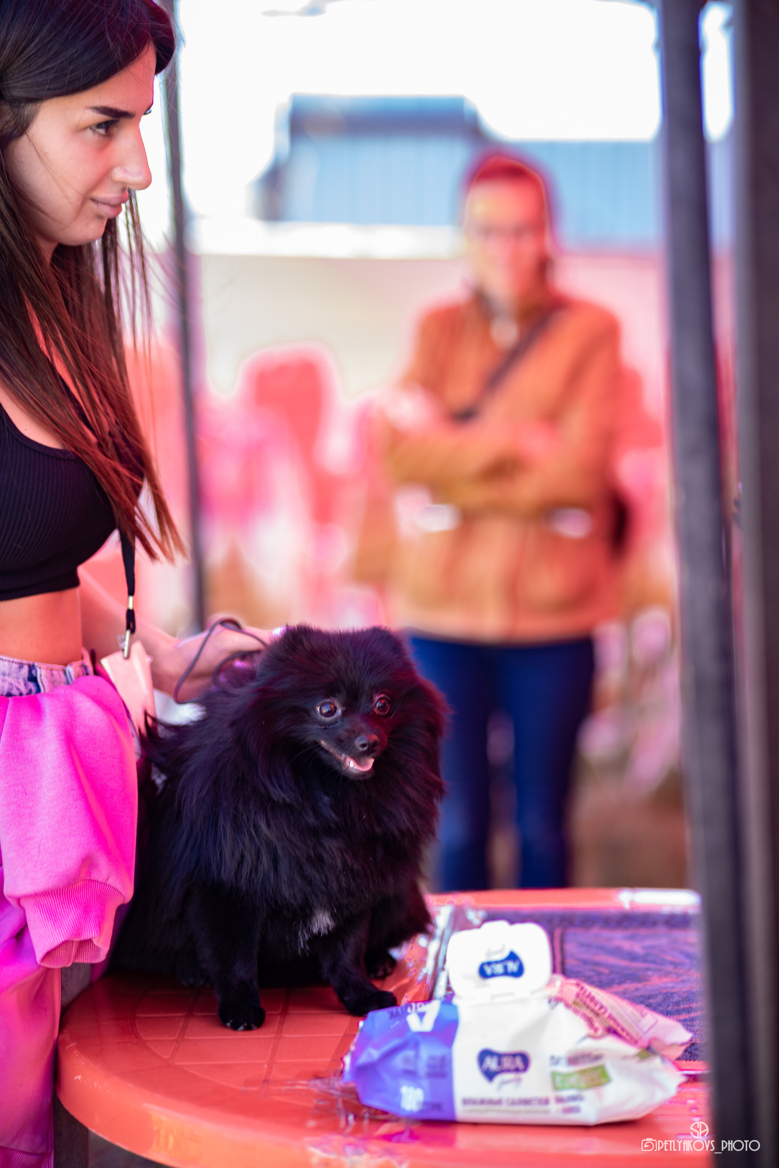 Репортаж с НАЦИОНАЛЬНАЯ ВЫСТАВКА СОБАК РАНГА САС — ЧФ. Фотограф, видеограф Пятигорск, Ставрополь, Ессентуки, Petlyakovs_photo