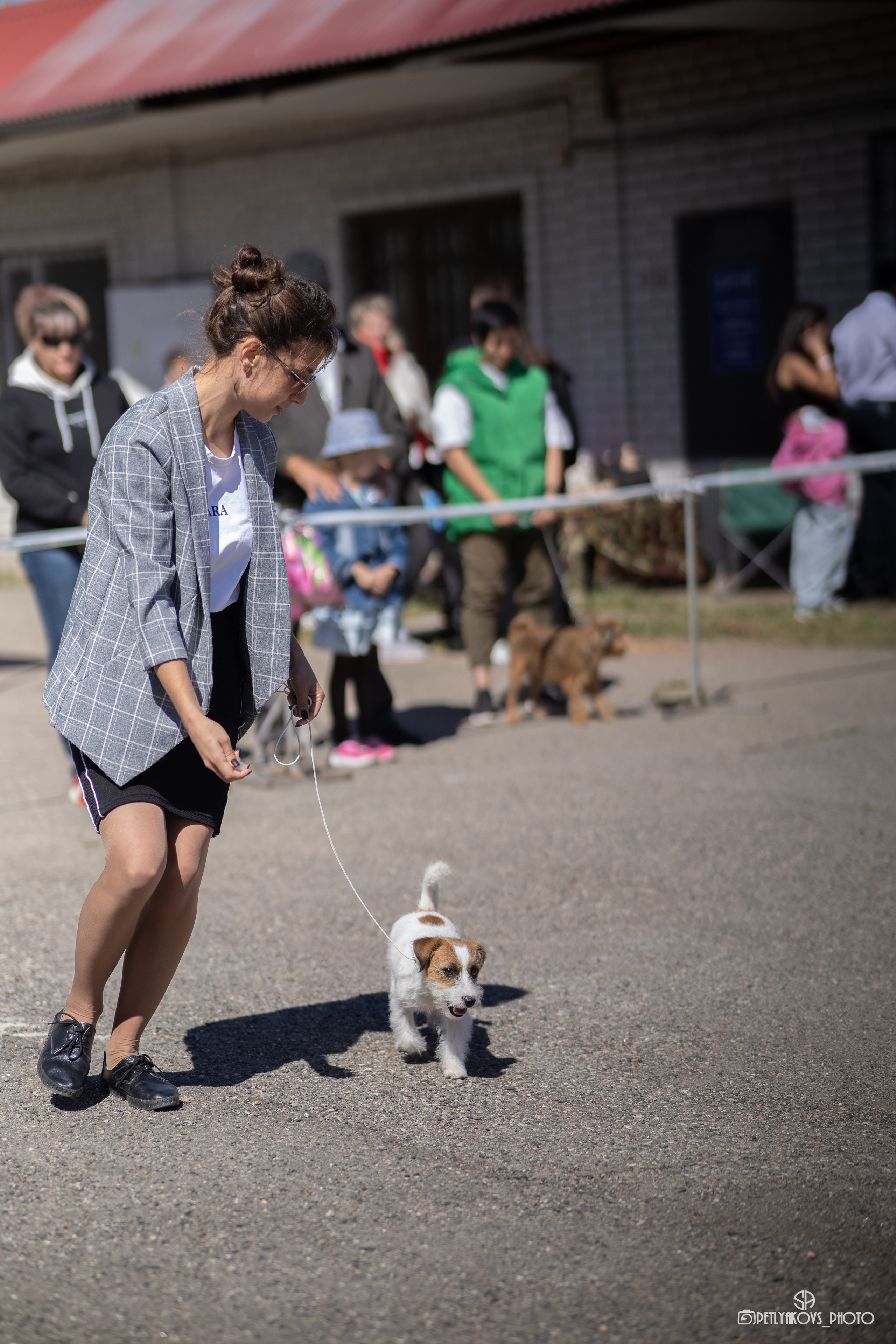 Репортаж с НАЦИОНАЛЬНАЯ ВЫСТАВКА СОБАК РАНГА САС — ЧФ. Фотограф, видеограф Пятигорск, Ставрополь, Ессентуки, Petlyakovs_photo
