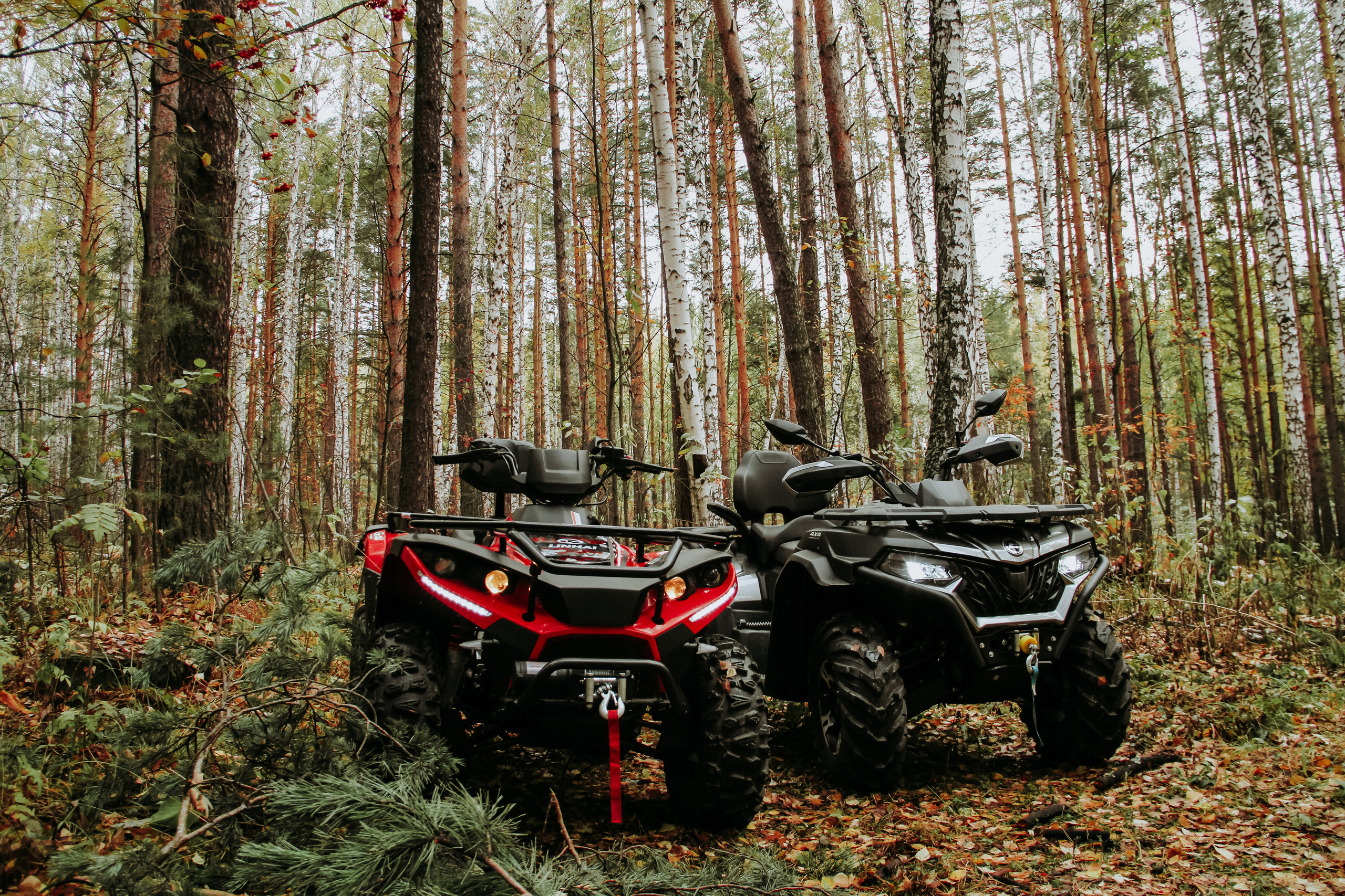 Фотоконтент для продвижения бизнеса в интернете. Студия контента «СВОЕ МЕСТО»