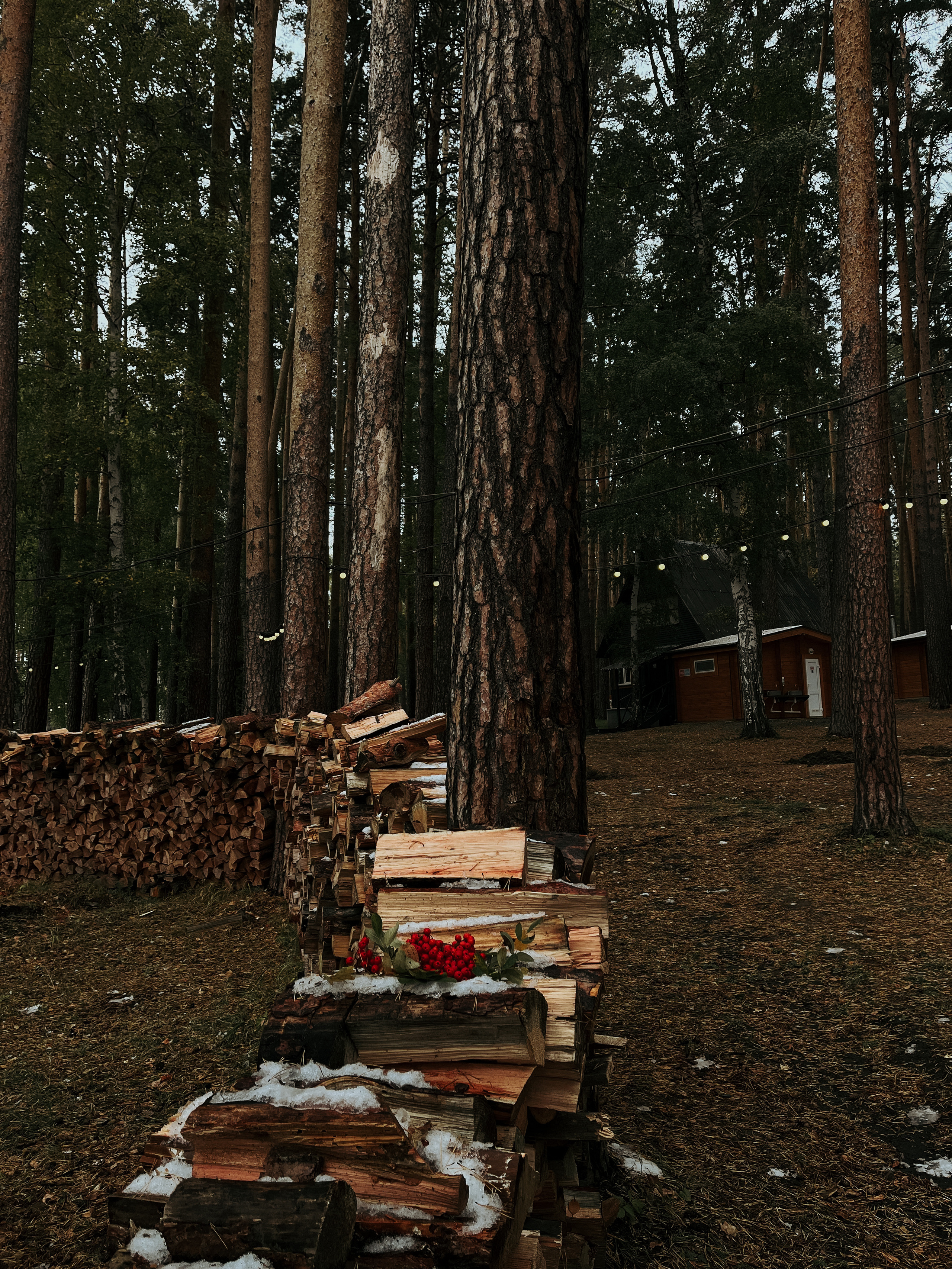 Фотоконтент для продвижения бизнеса в интернете. Студия контента «СВОЕ МЕСТО»