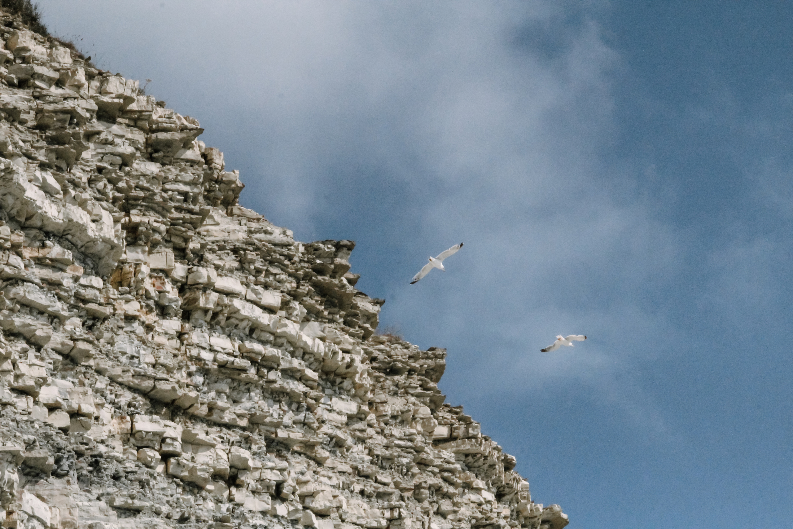 Фотоконтент для продвижения бизнеса в интернете. Студия контента «СВОЕ МЕСТО»