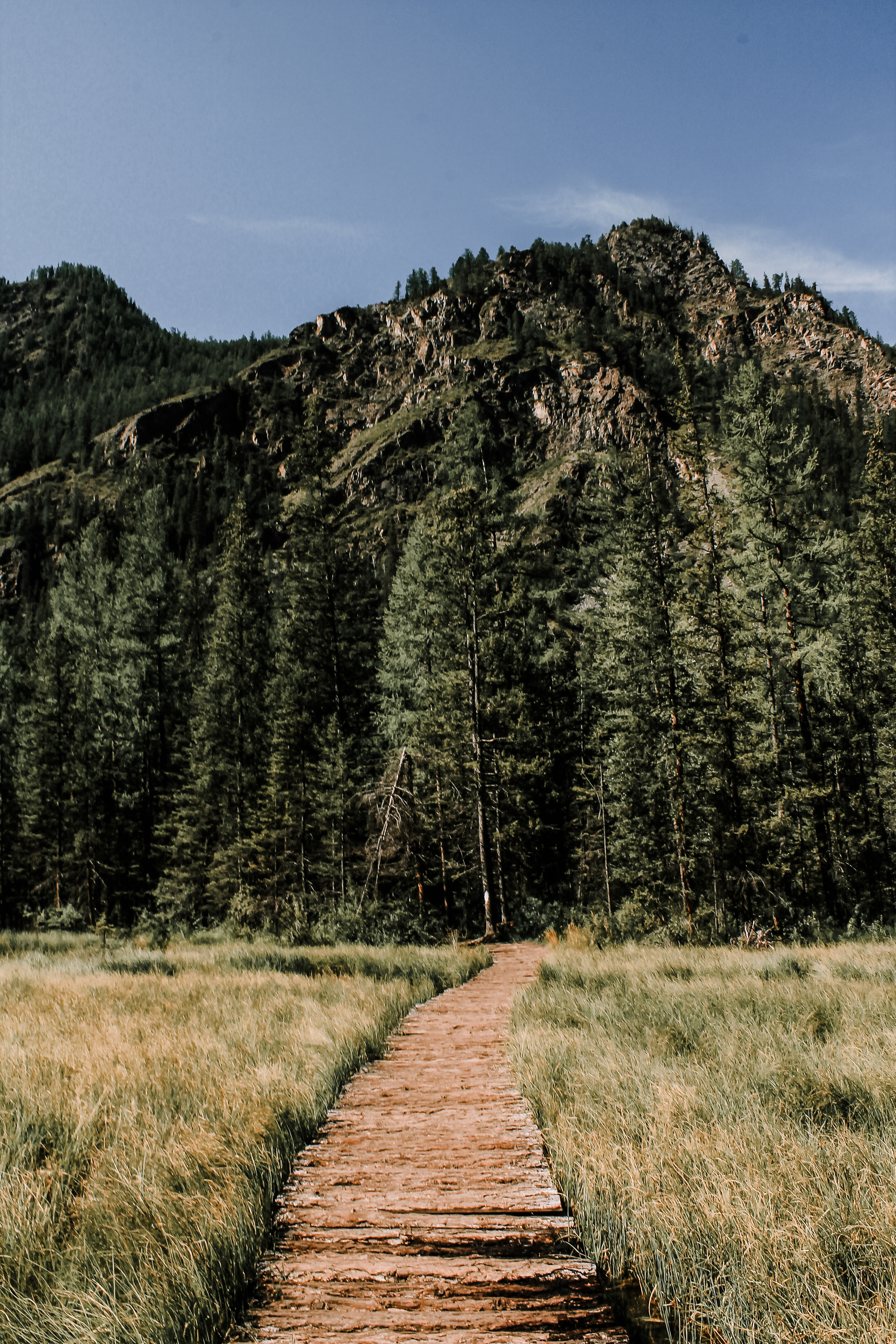 Фотоконтент для продвижения бизнеса в интернете. Студия контента «СВОЕ МЕСТО»