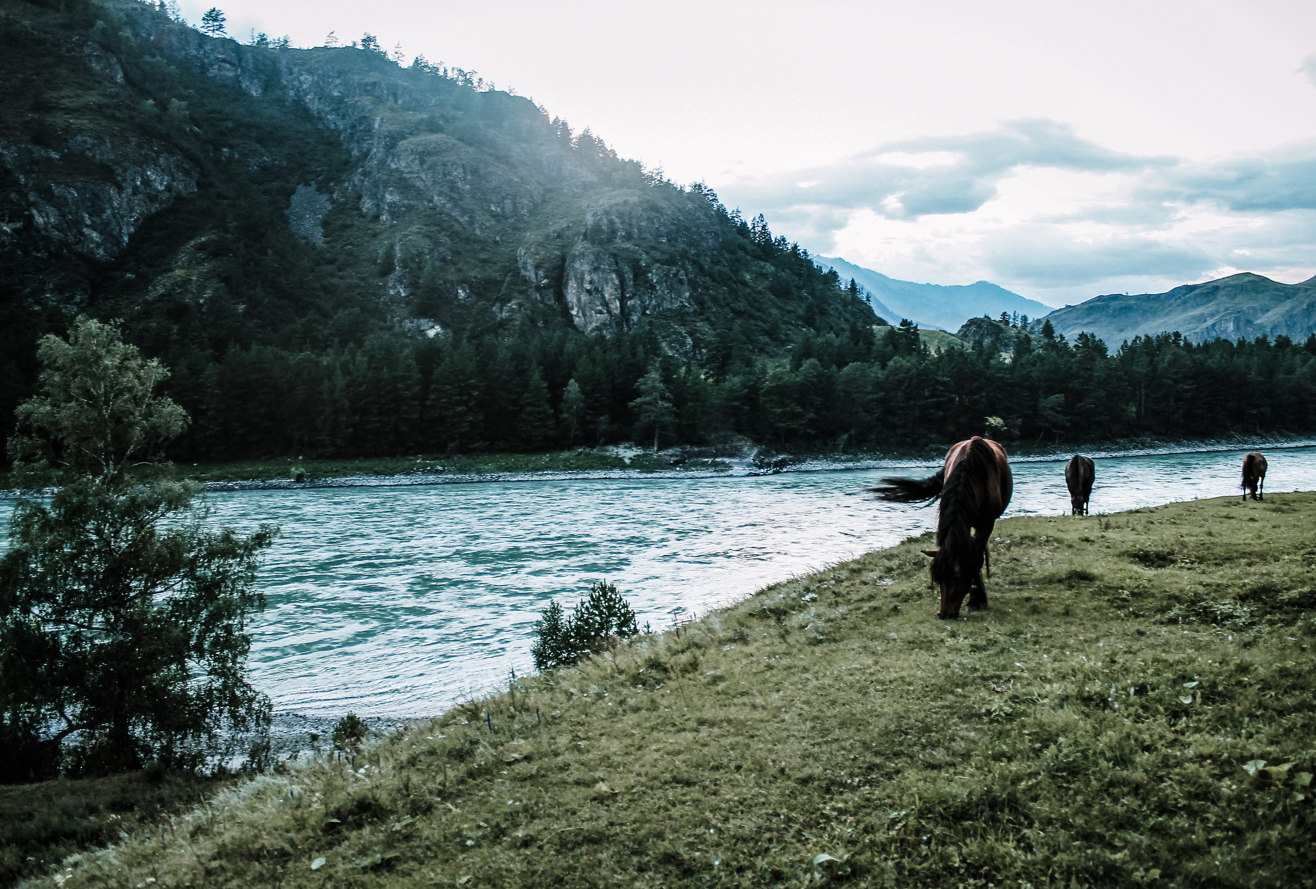 Фотоконтент для продвижения бизнеса в интернете. Студия контента «СВОЕ МЕСТО»