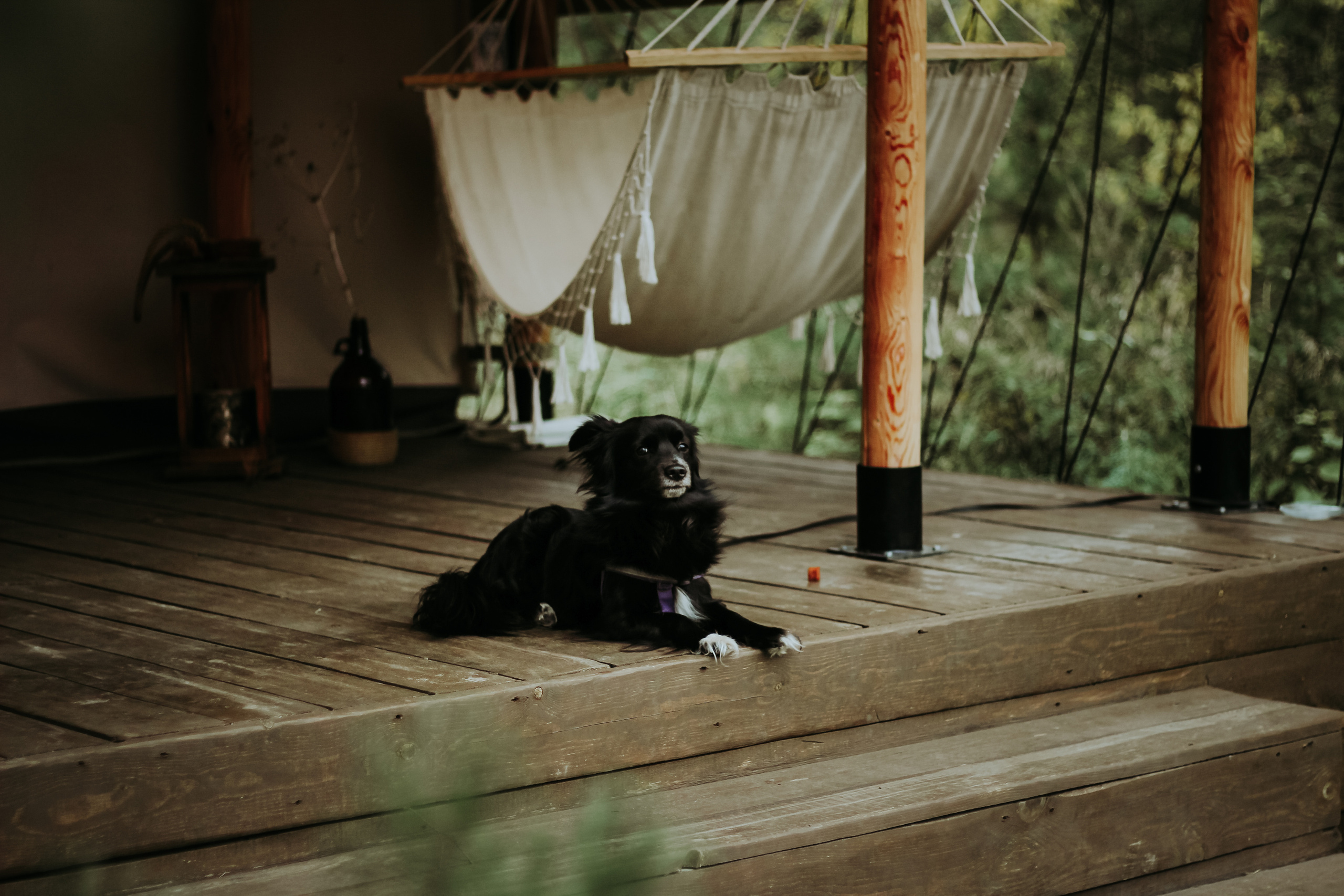 Фотоконтент для продвижения бизнеса в интернете. Студия контента «СВОЕ МЕСТО»