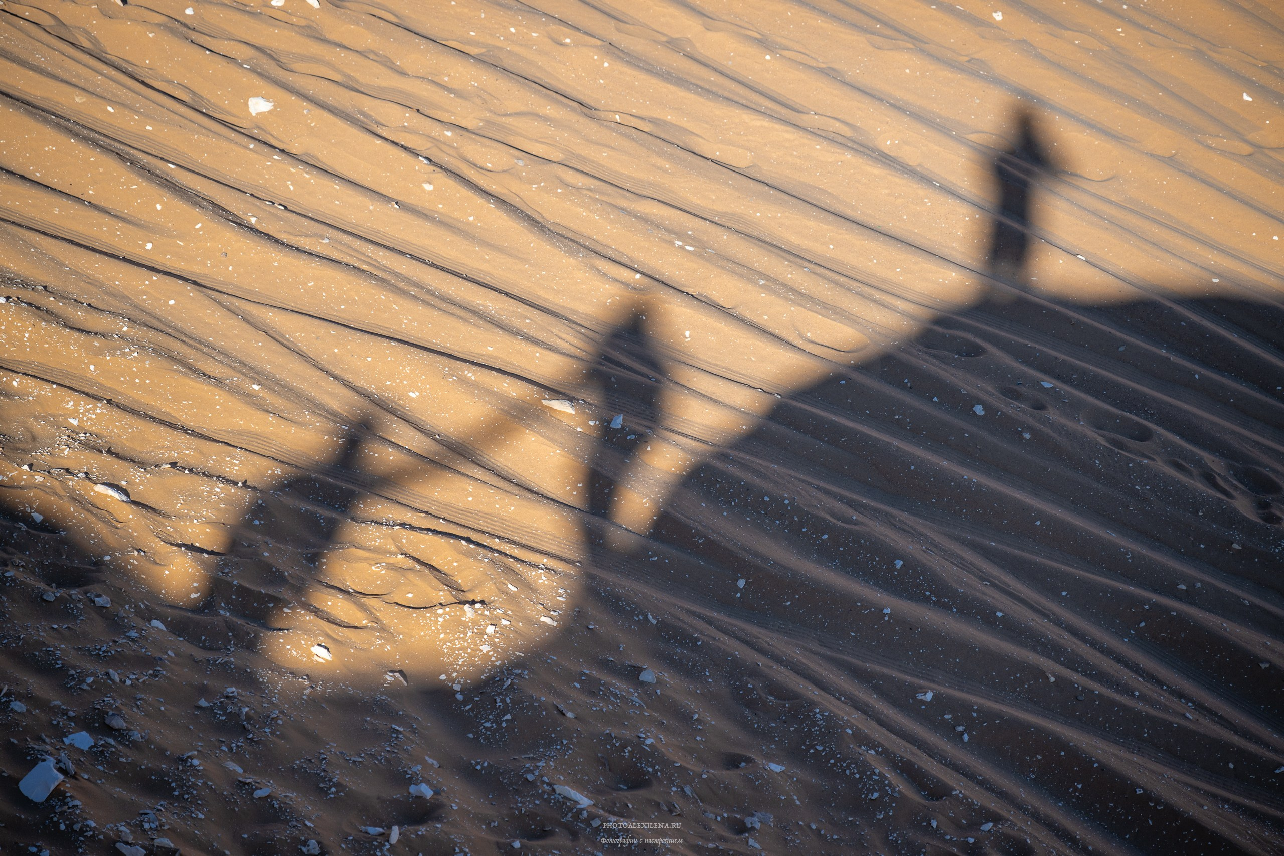 Пустыня чёрная, пустыня белая. Авторские стильные фотокартины